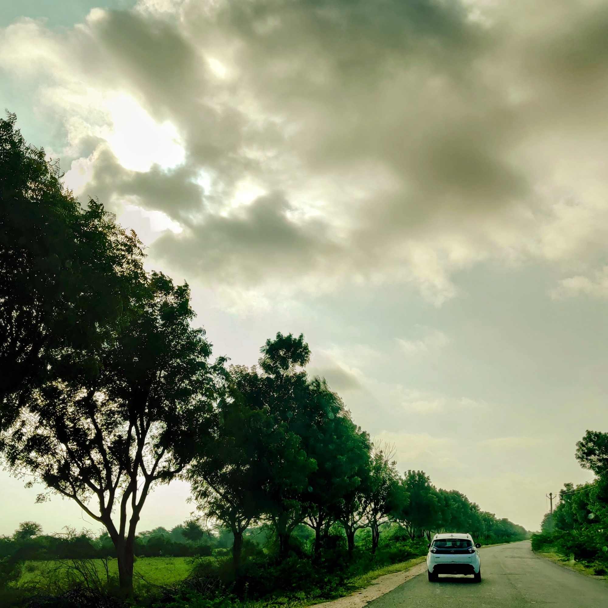 The Road Trip