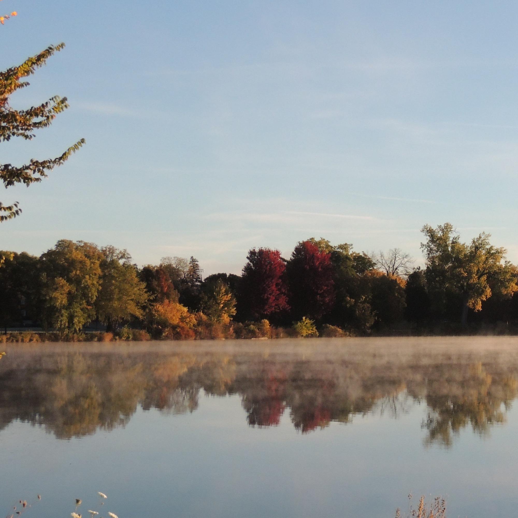 Foggy Lake Reflection