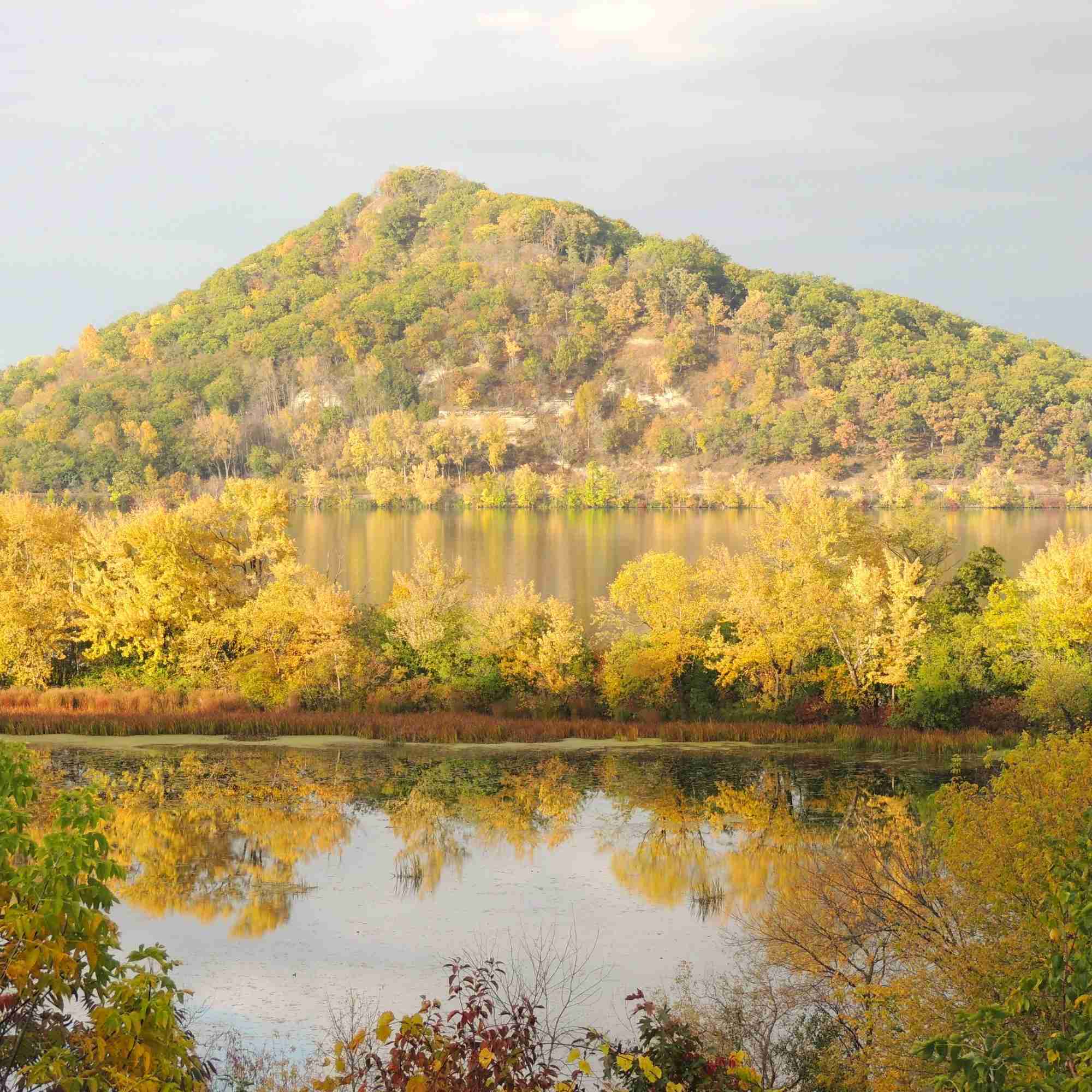 The Leaves Are Changing