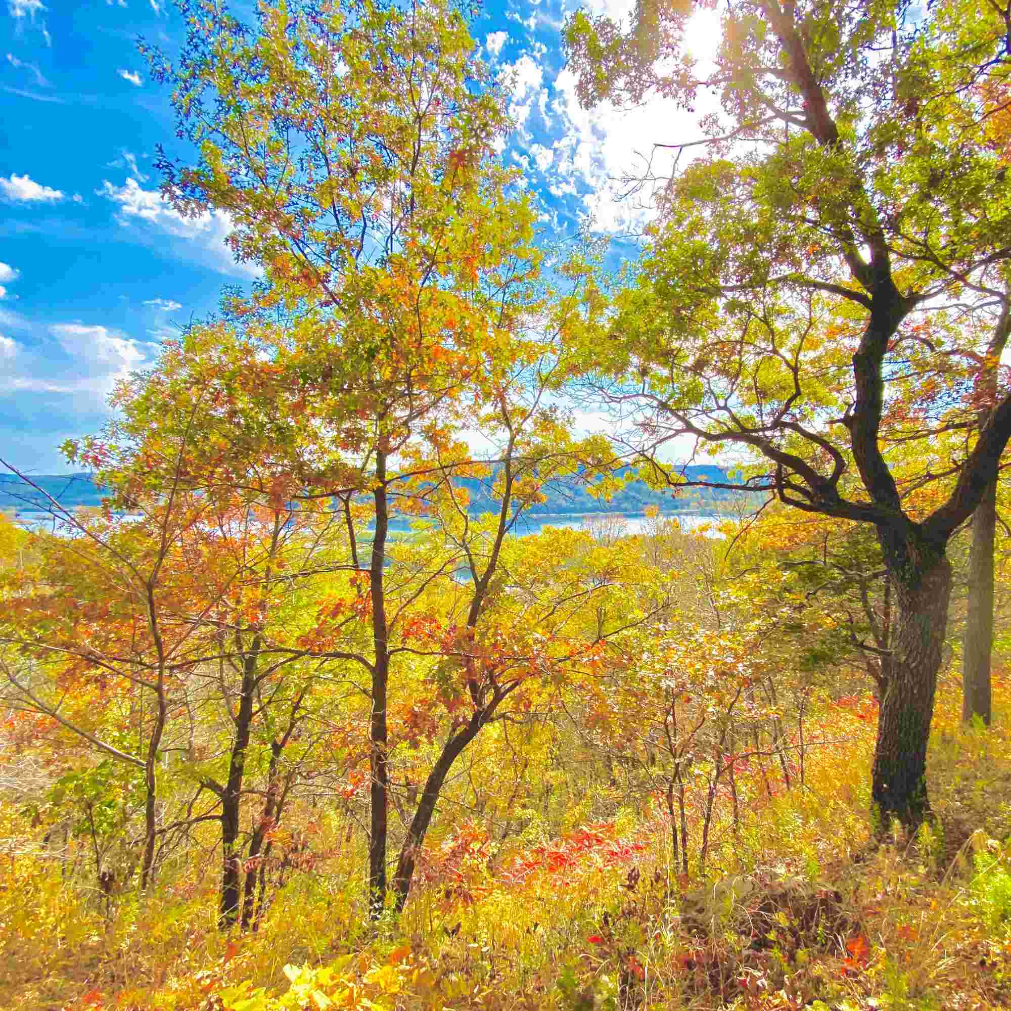 Autumn Peace