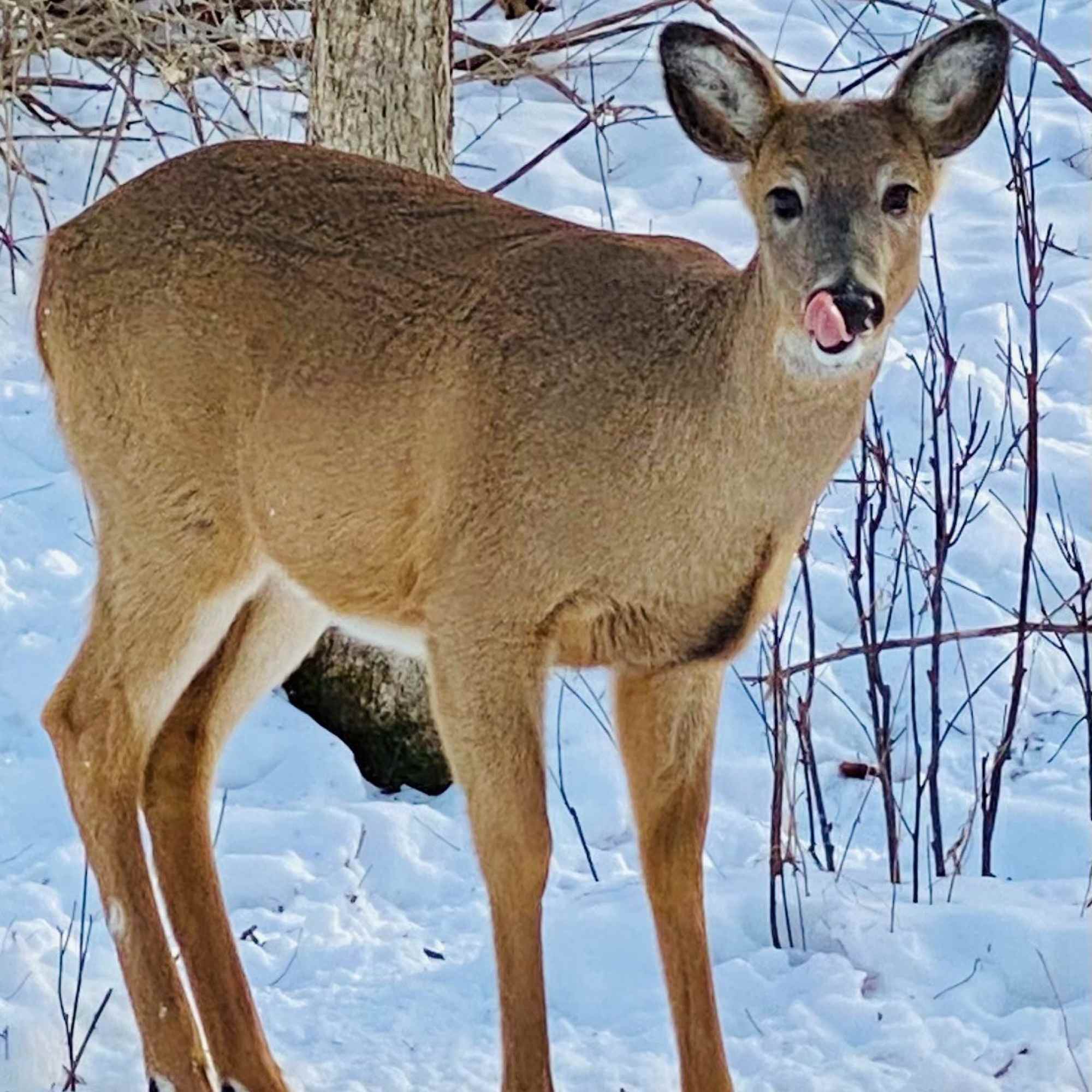Something tastes good!