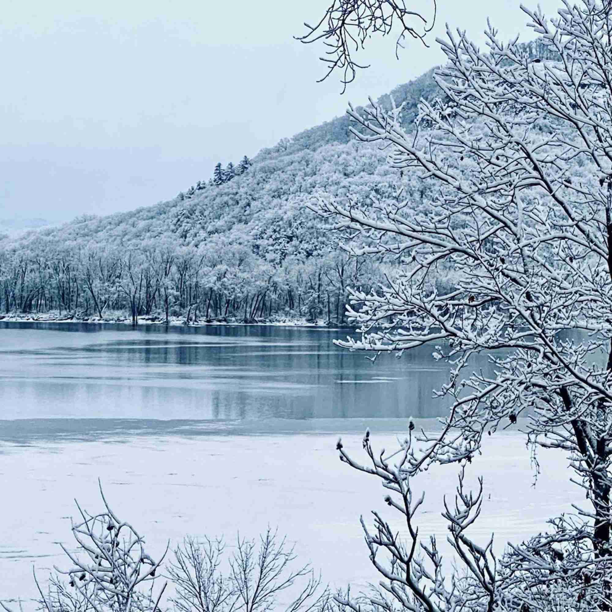 Frozen River
