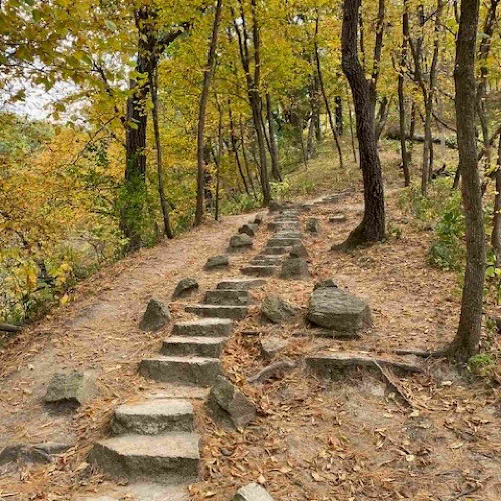 Autumn Trail To...