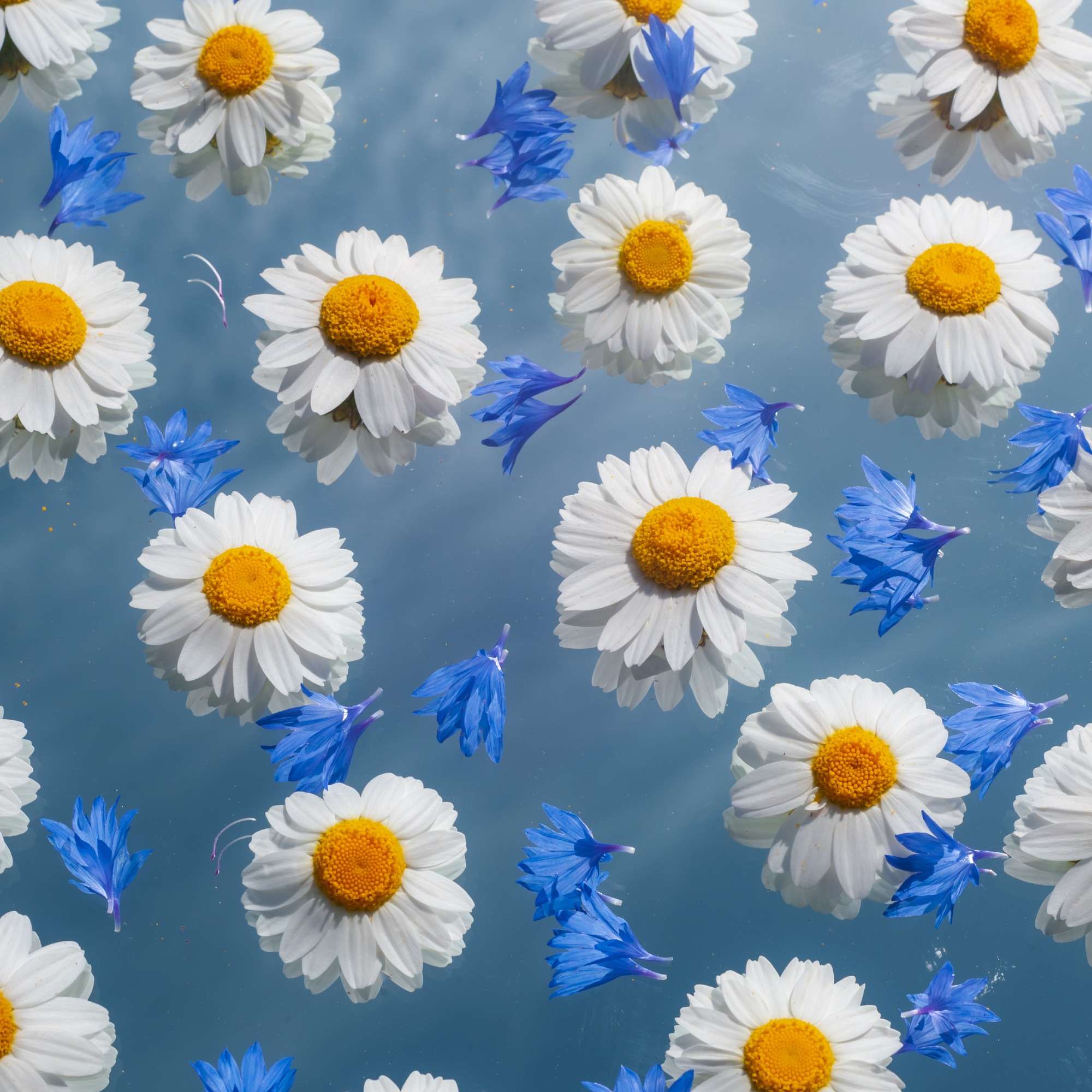 Floral Mirage