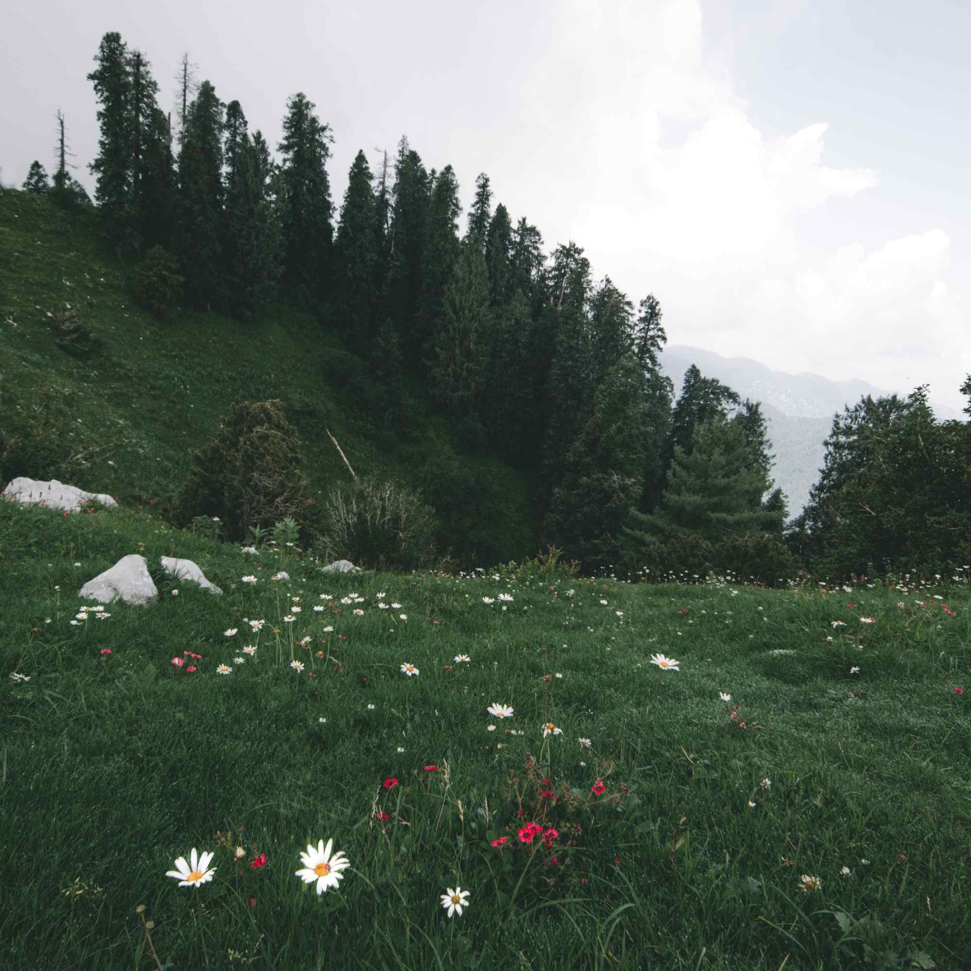 Serenity