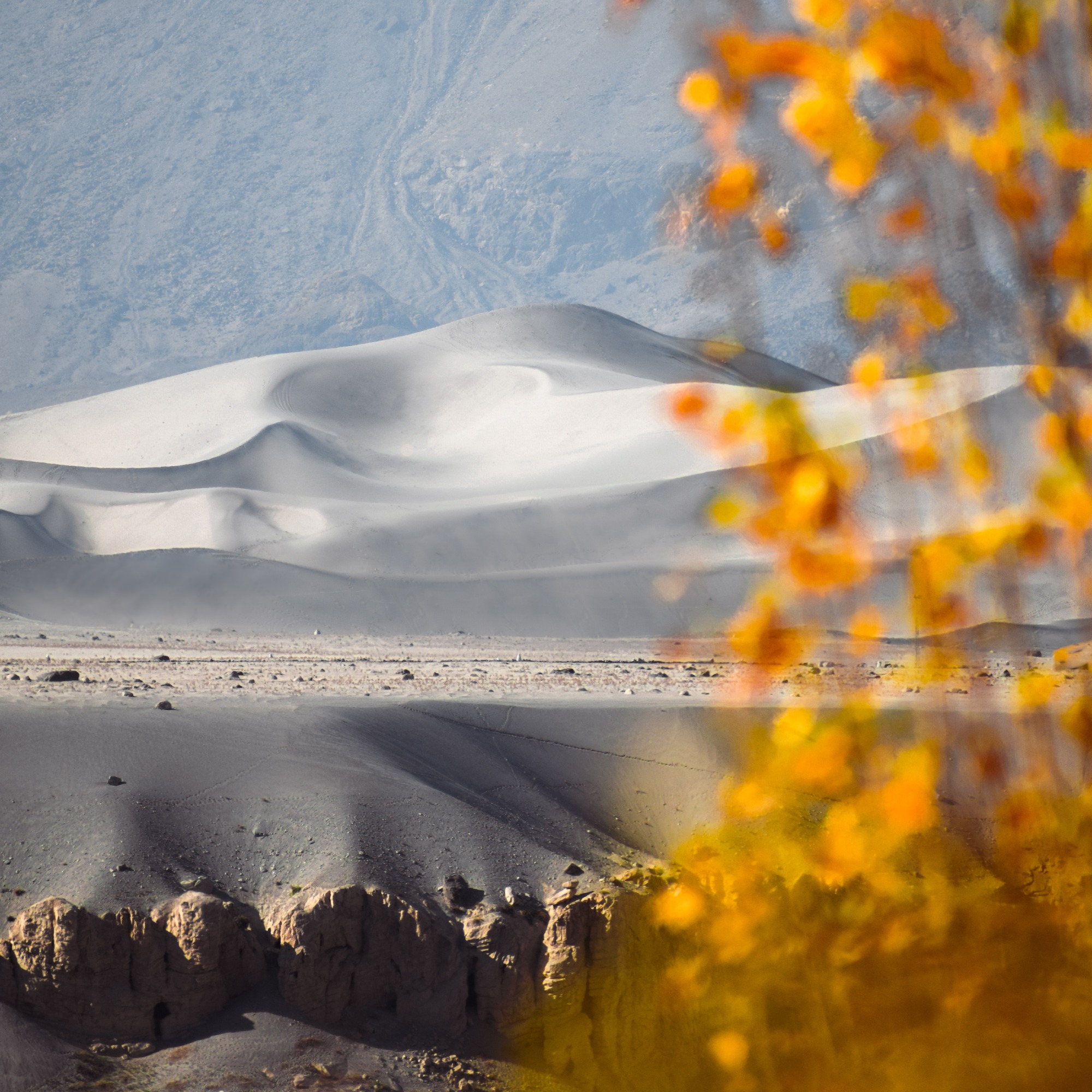 Golden Expanse