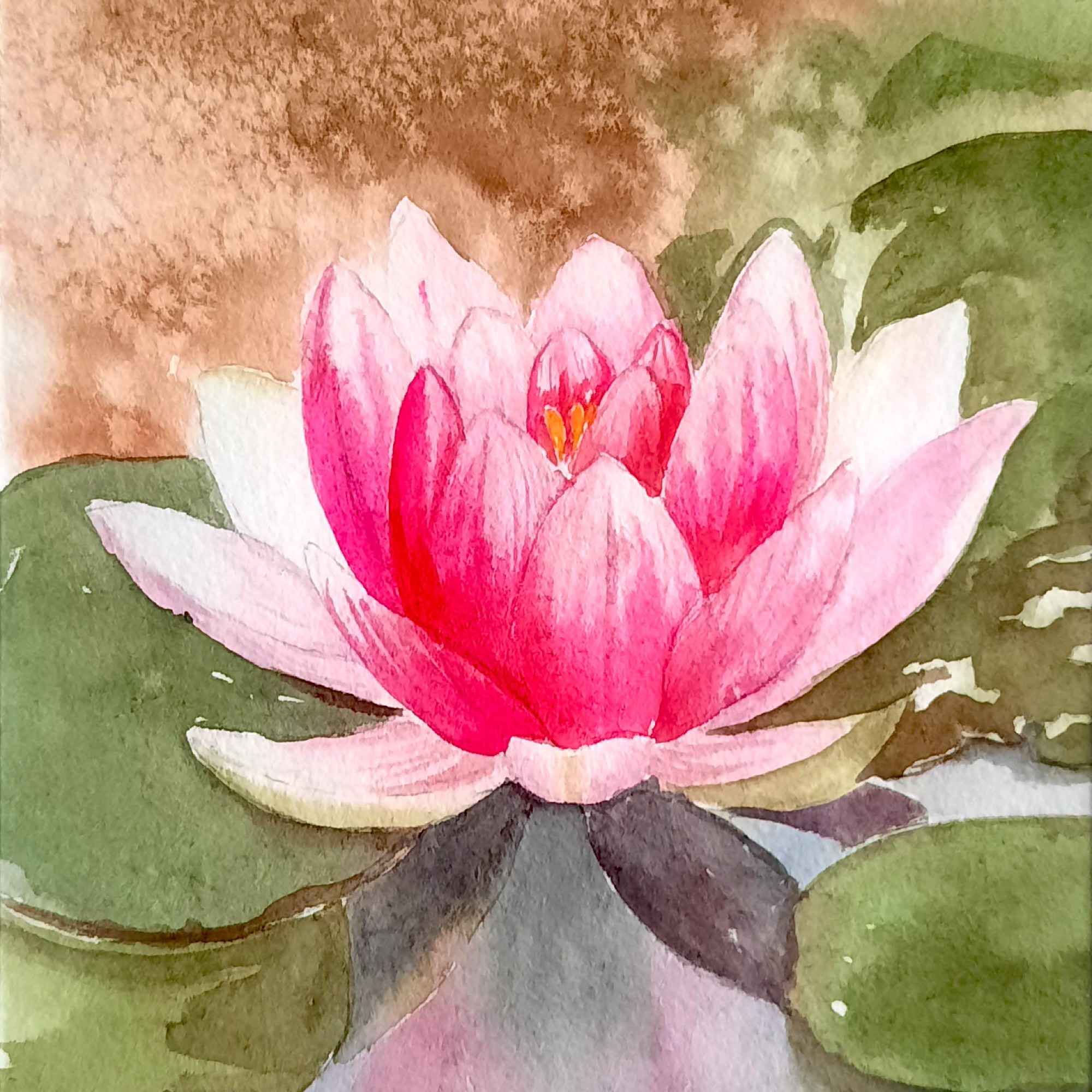 Lotus flower