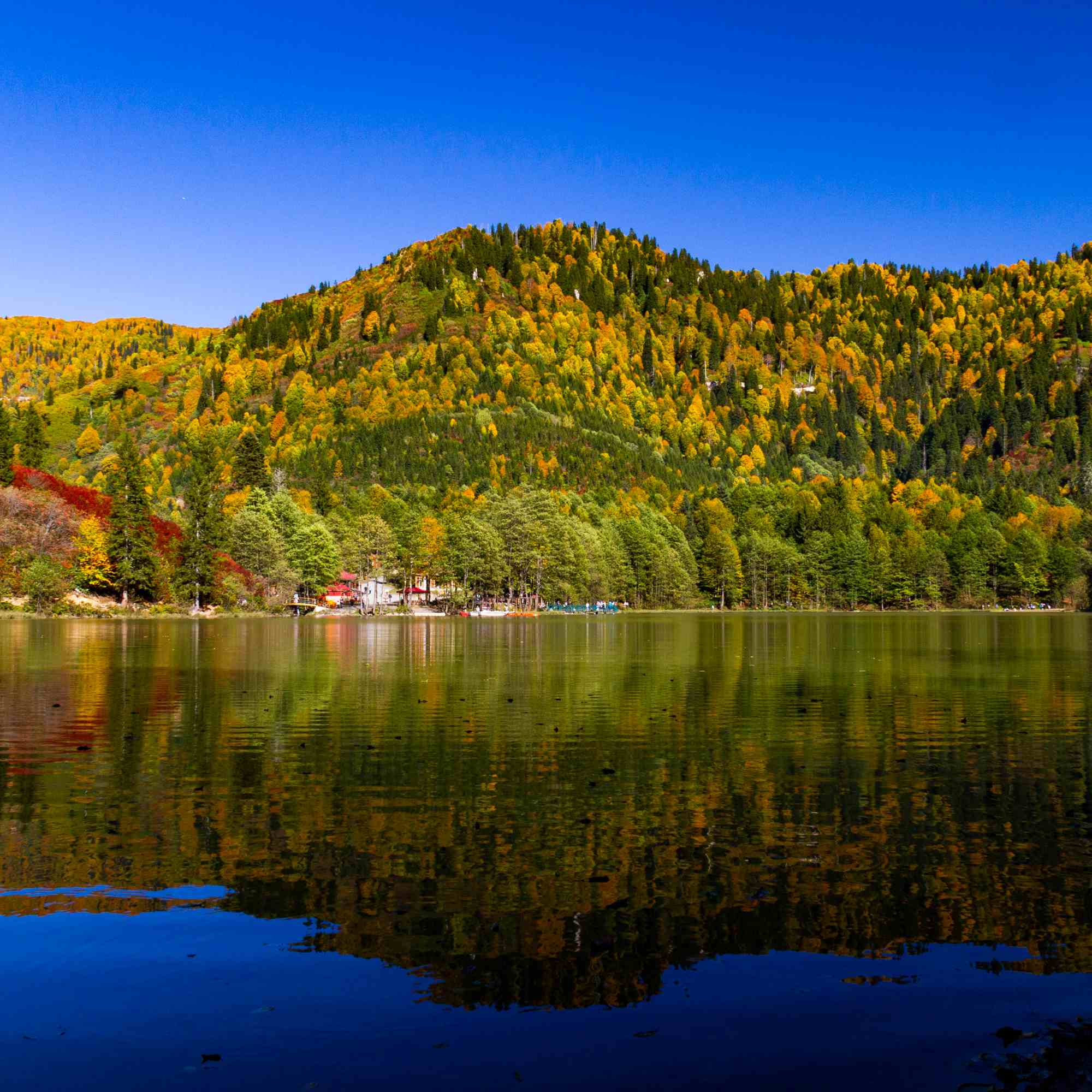 Naturescape Mirror