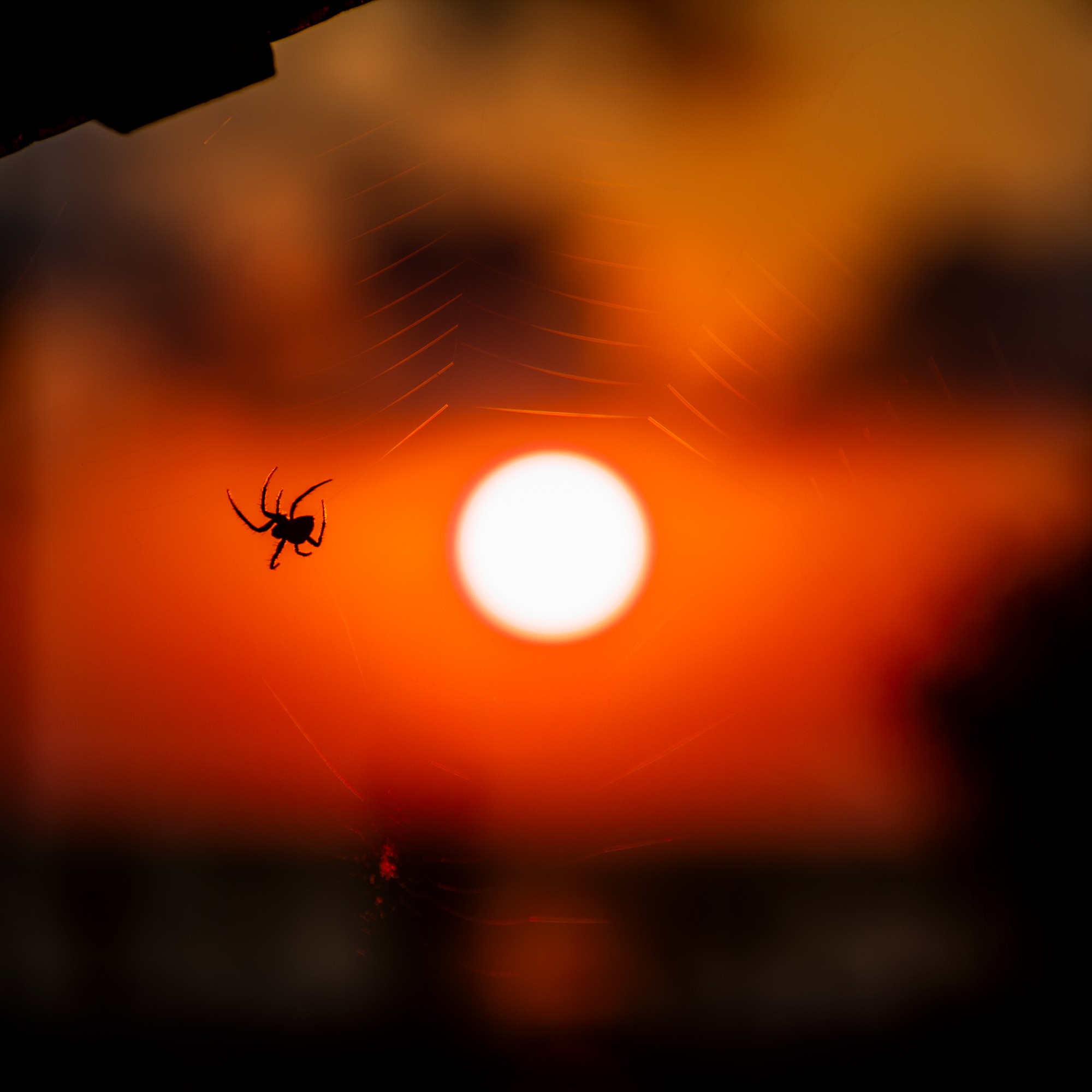 Catching the Sun