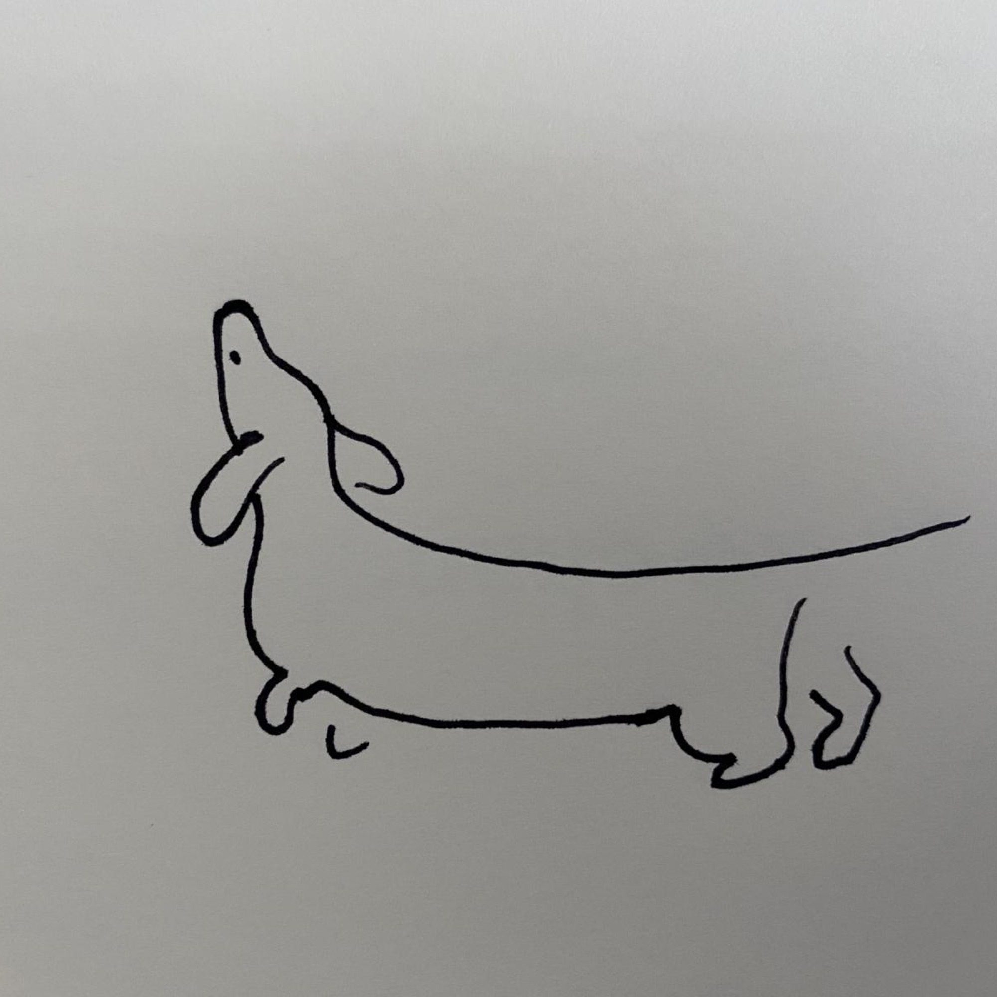 Happy Dog