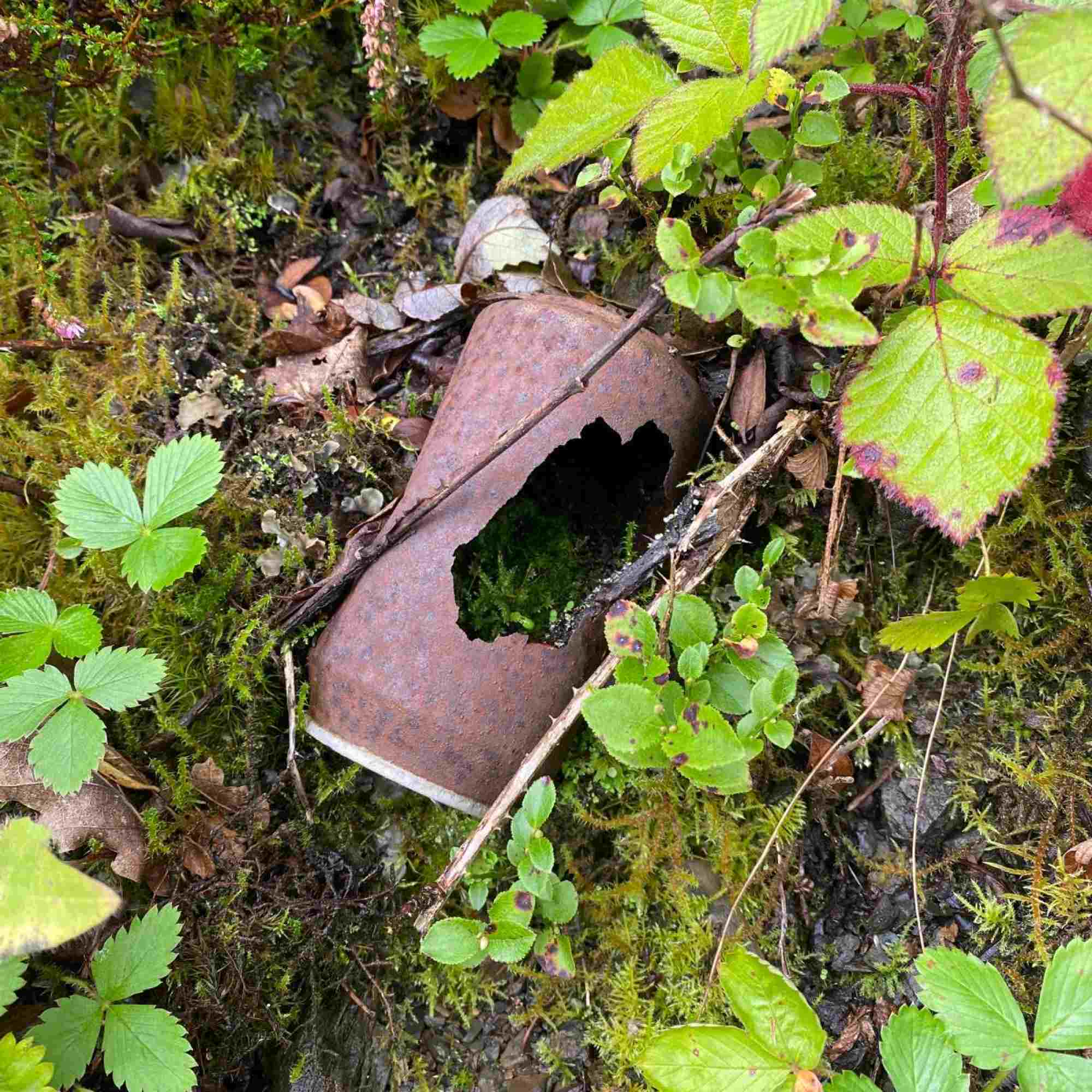 Rusting away
