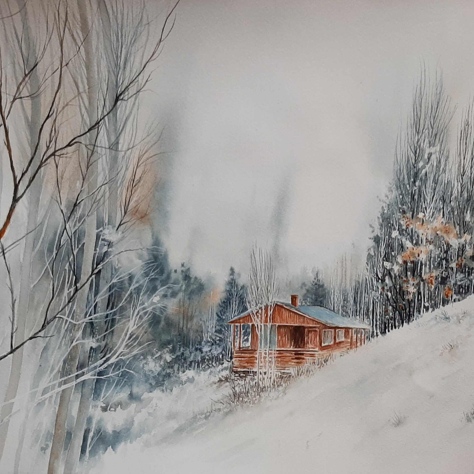 Serene Winter's Day