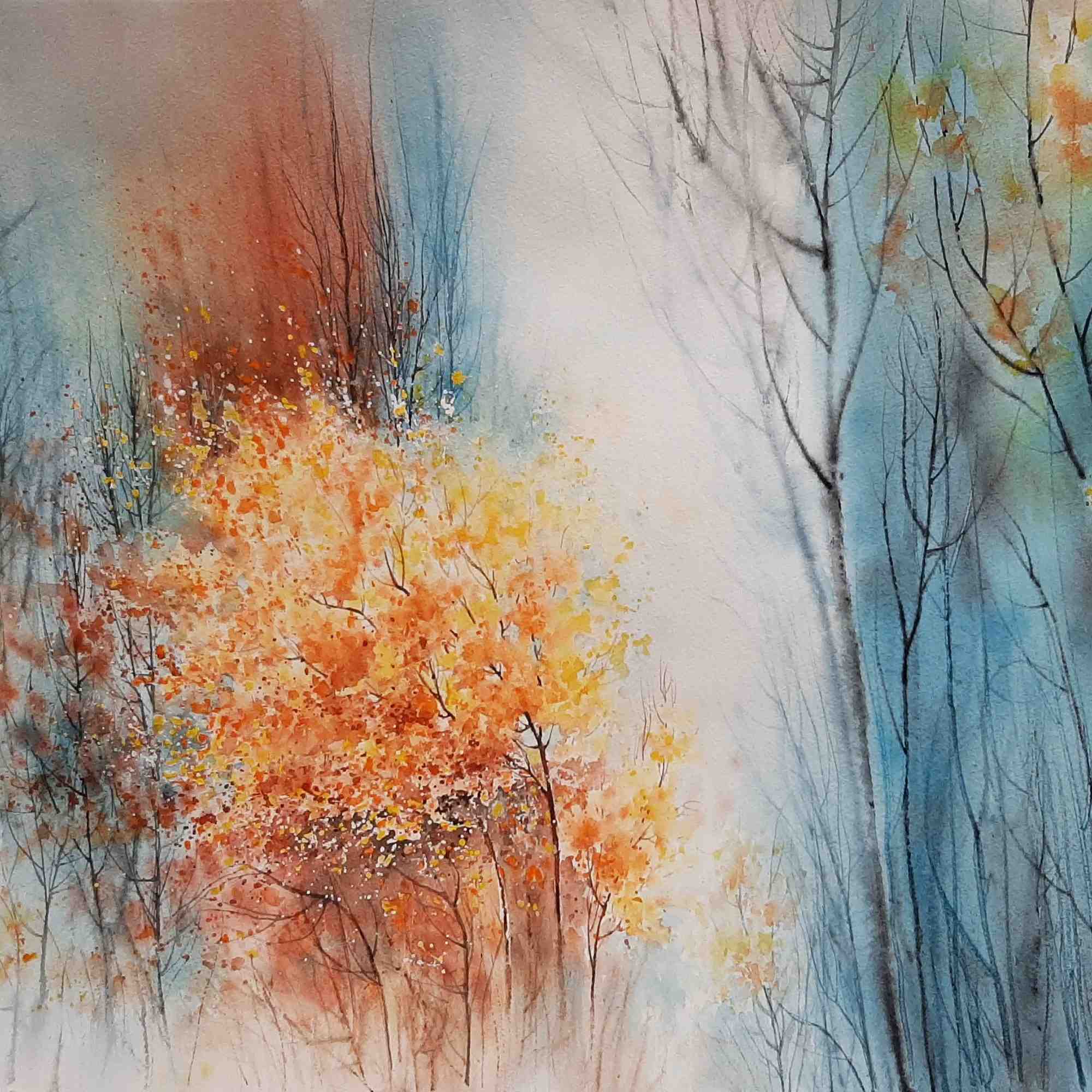 Harmony of Hues