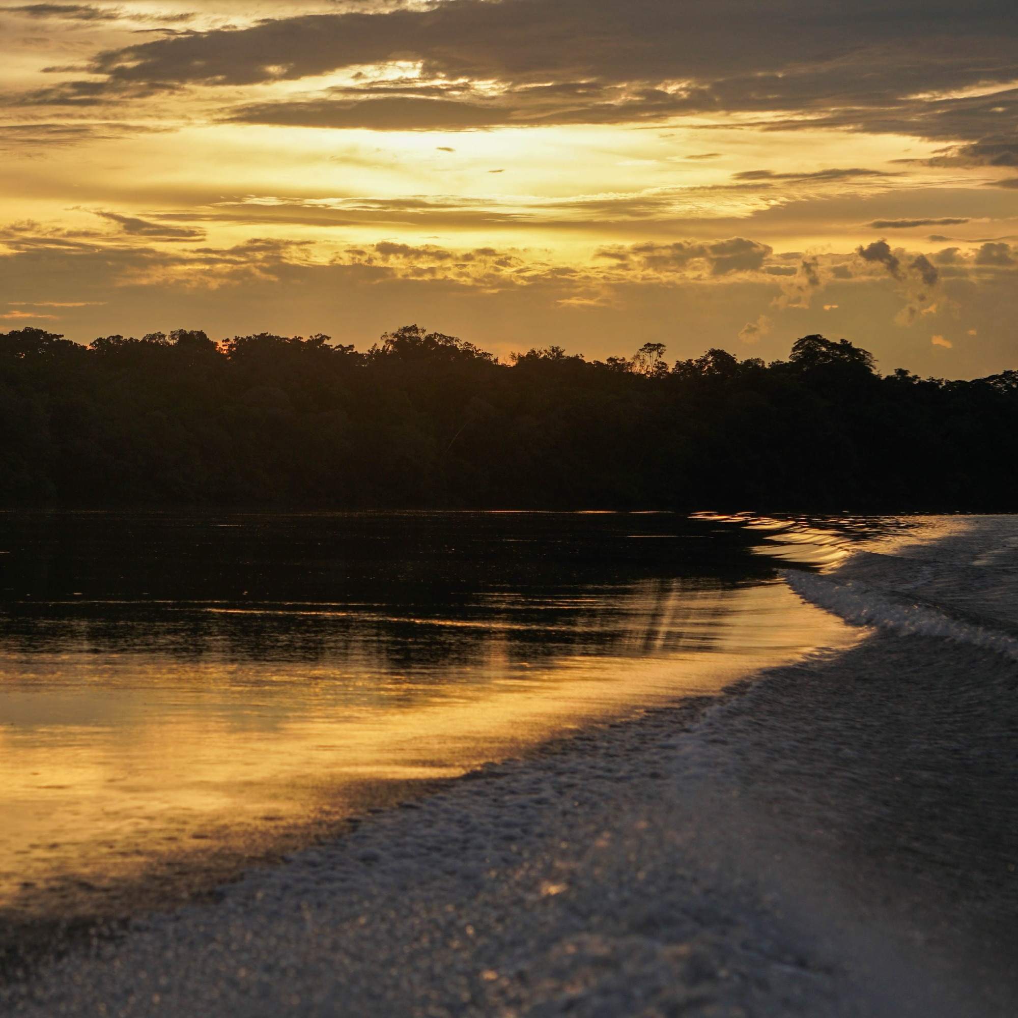 Amazon sunset