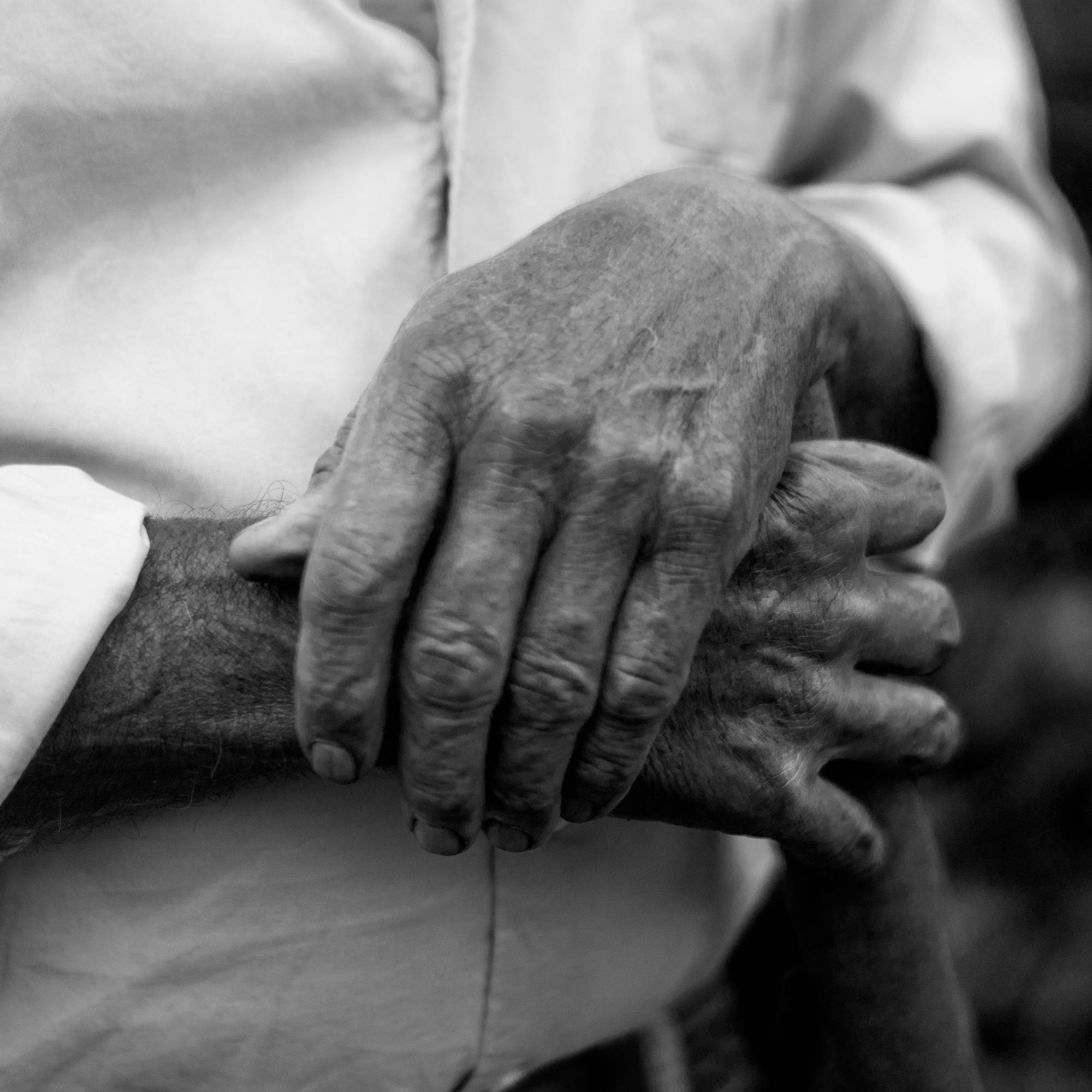 Hands of the Field