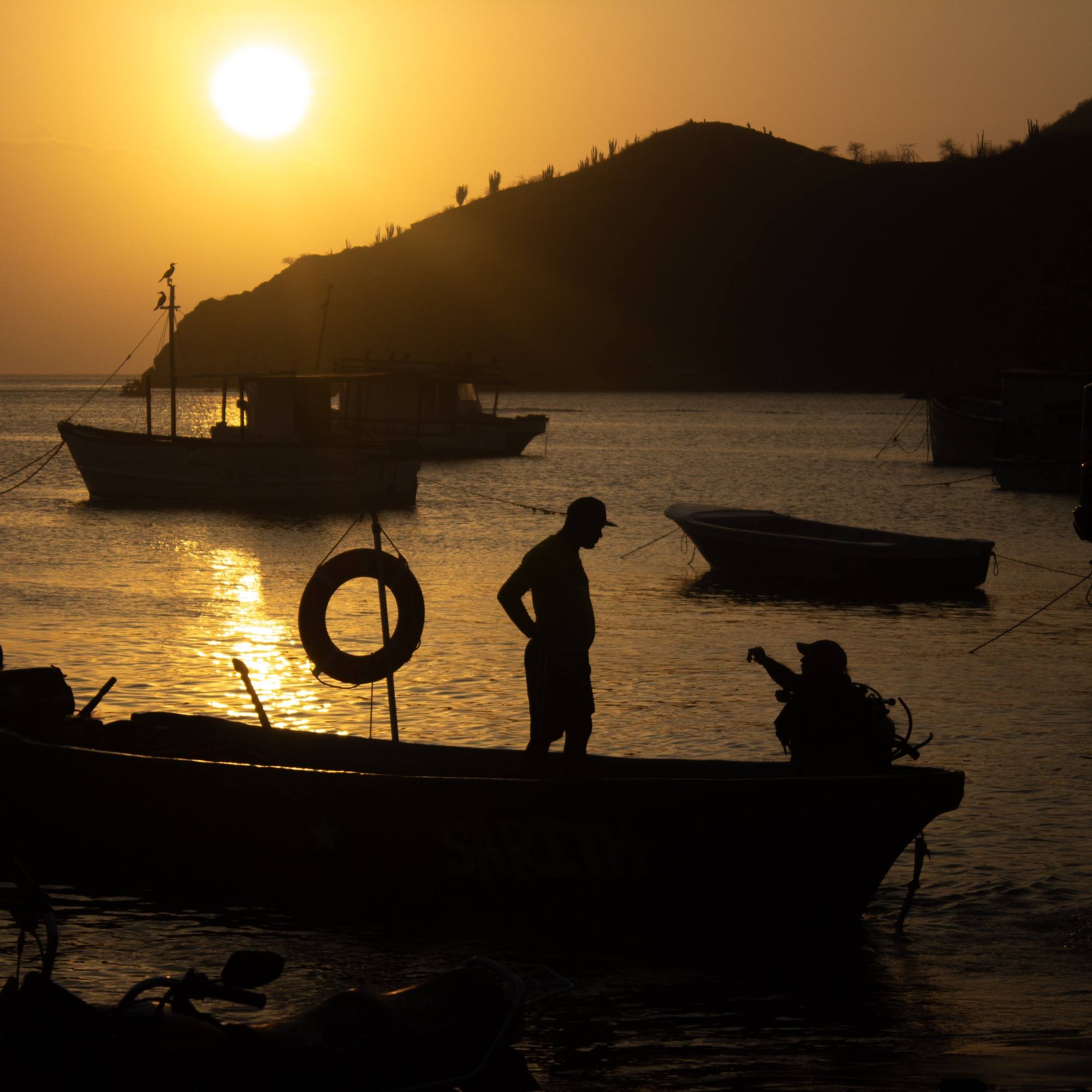 Glimpses in Silhouette