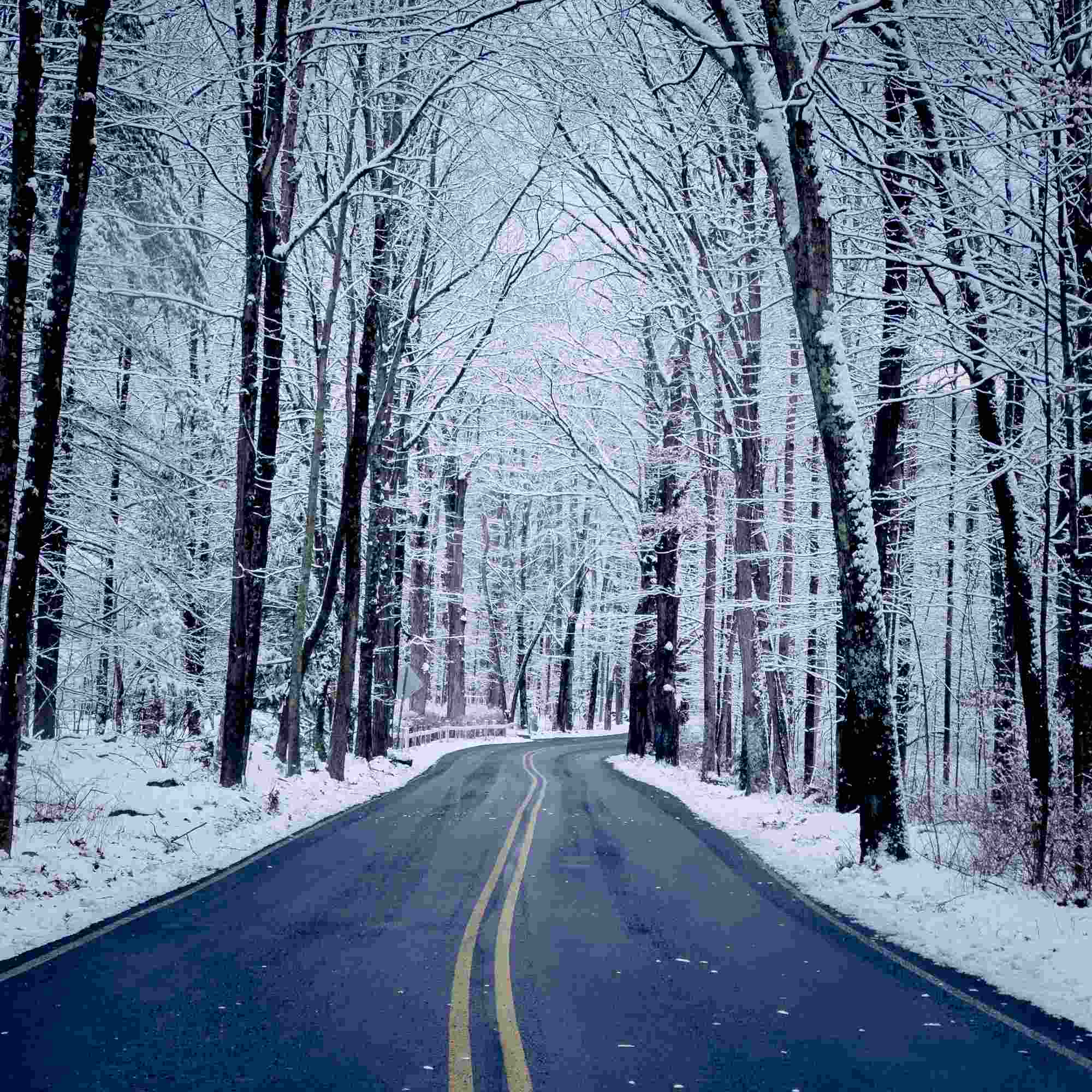 After the Beautiful Snow 3