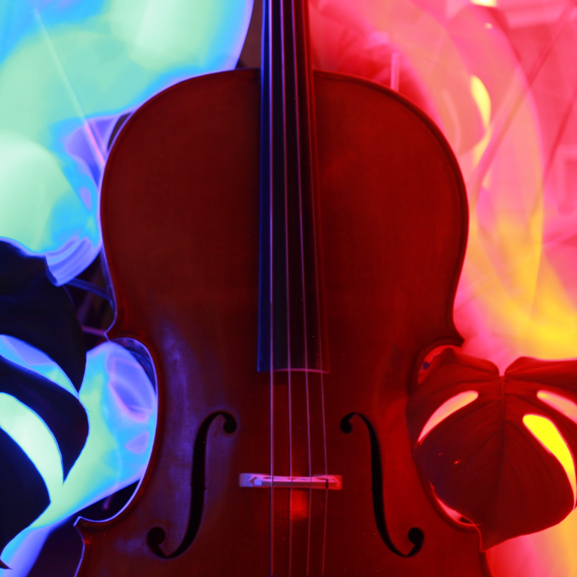 The Nature of Cello