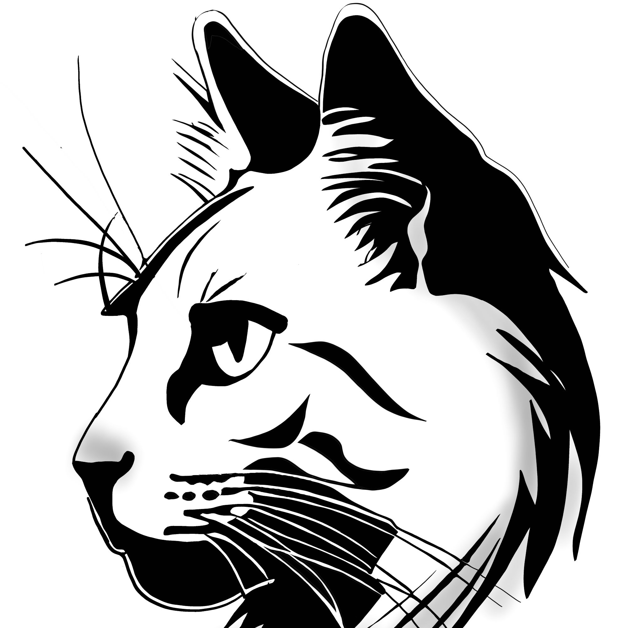 Cat #1