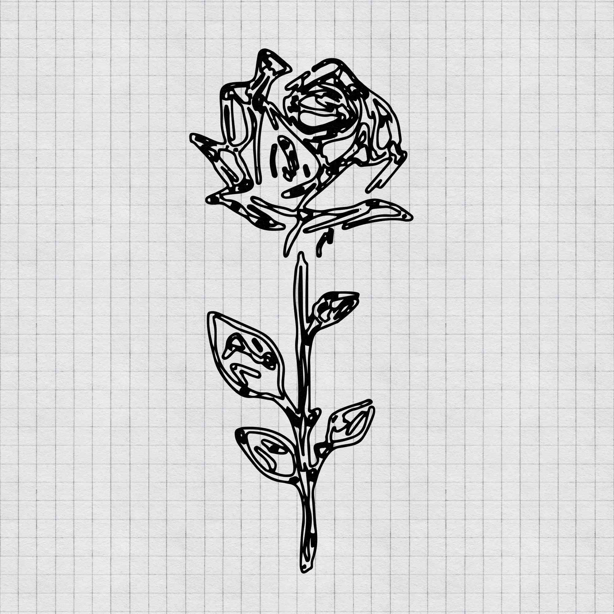 Scribbled Blossom. Rose