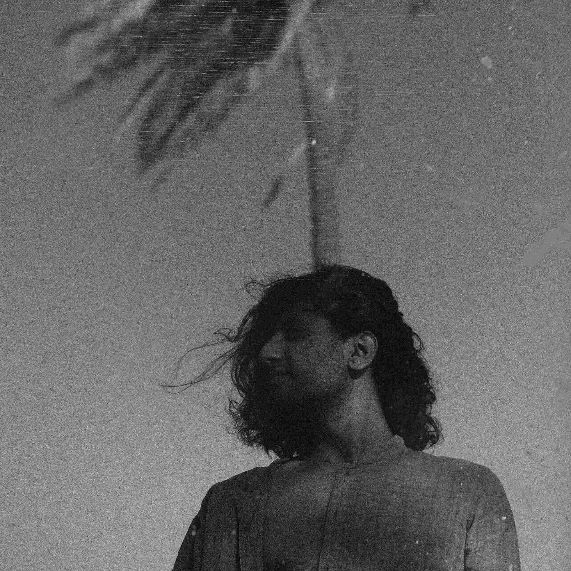 Dancing tree🌴