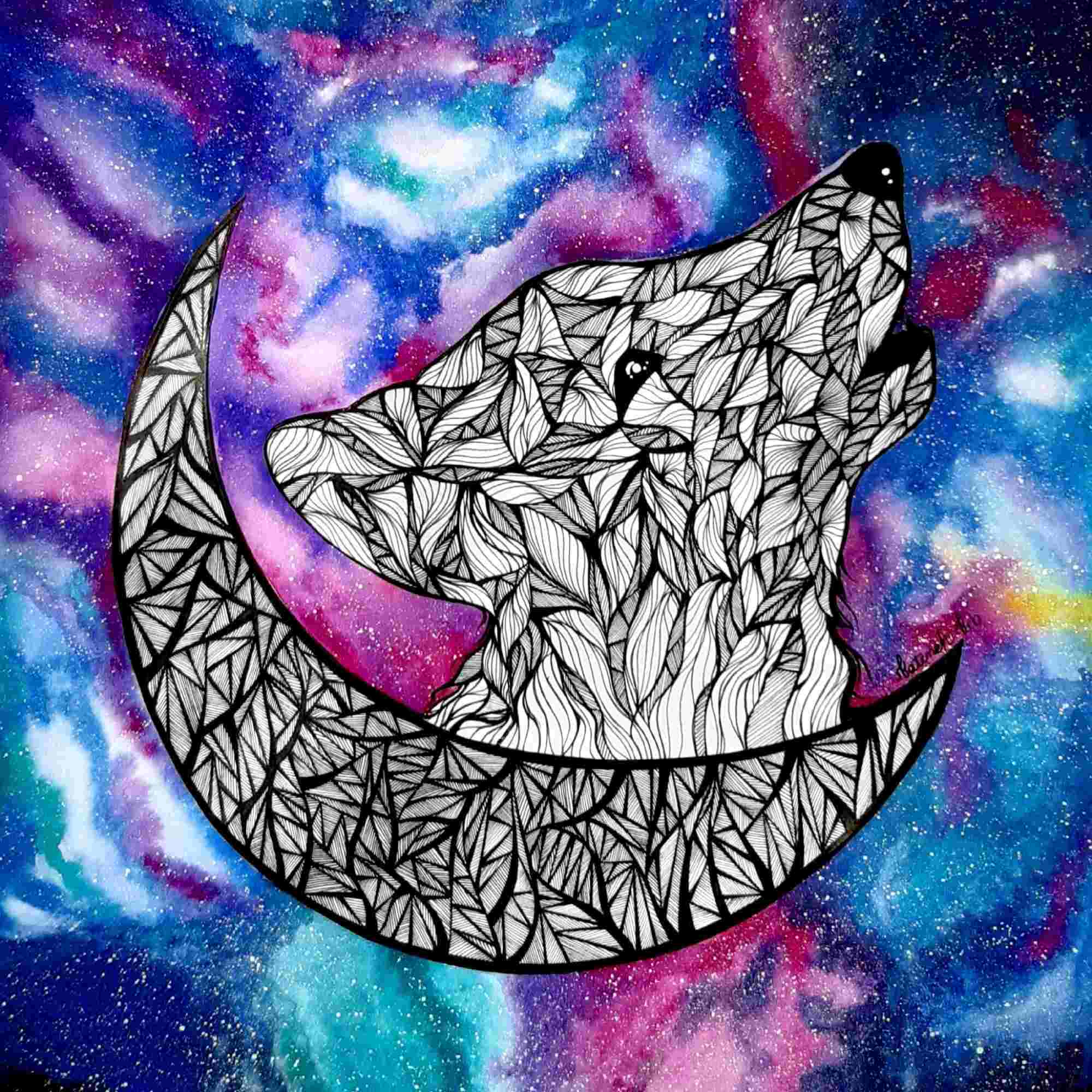 Fox in Galaxy
