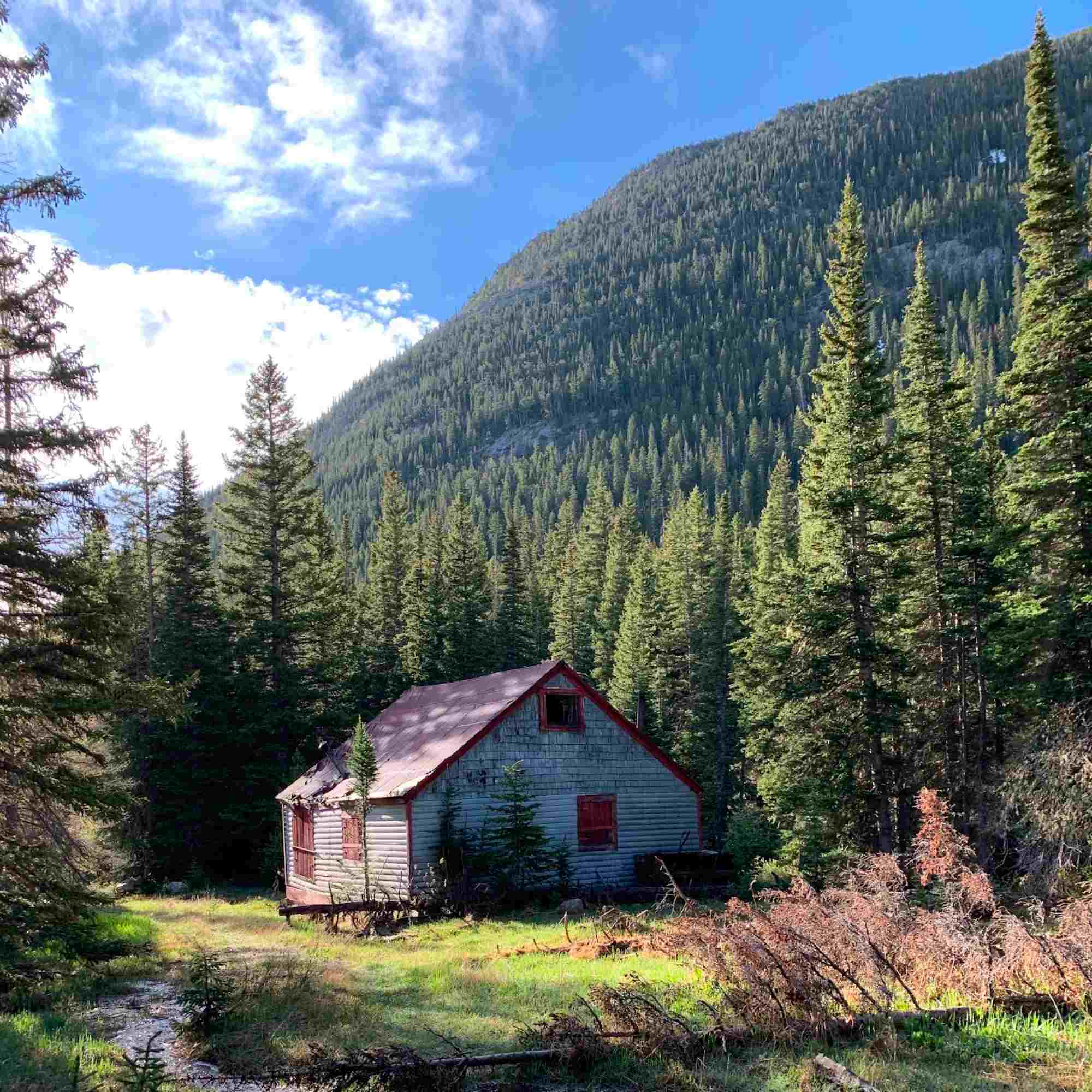 Little Cabin in the Woods