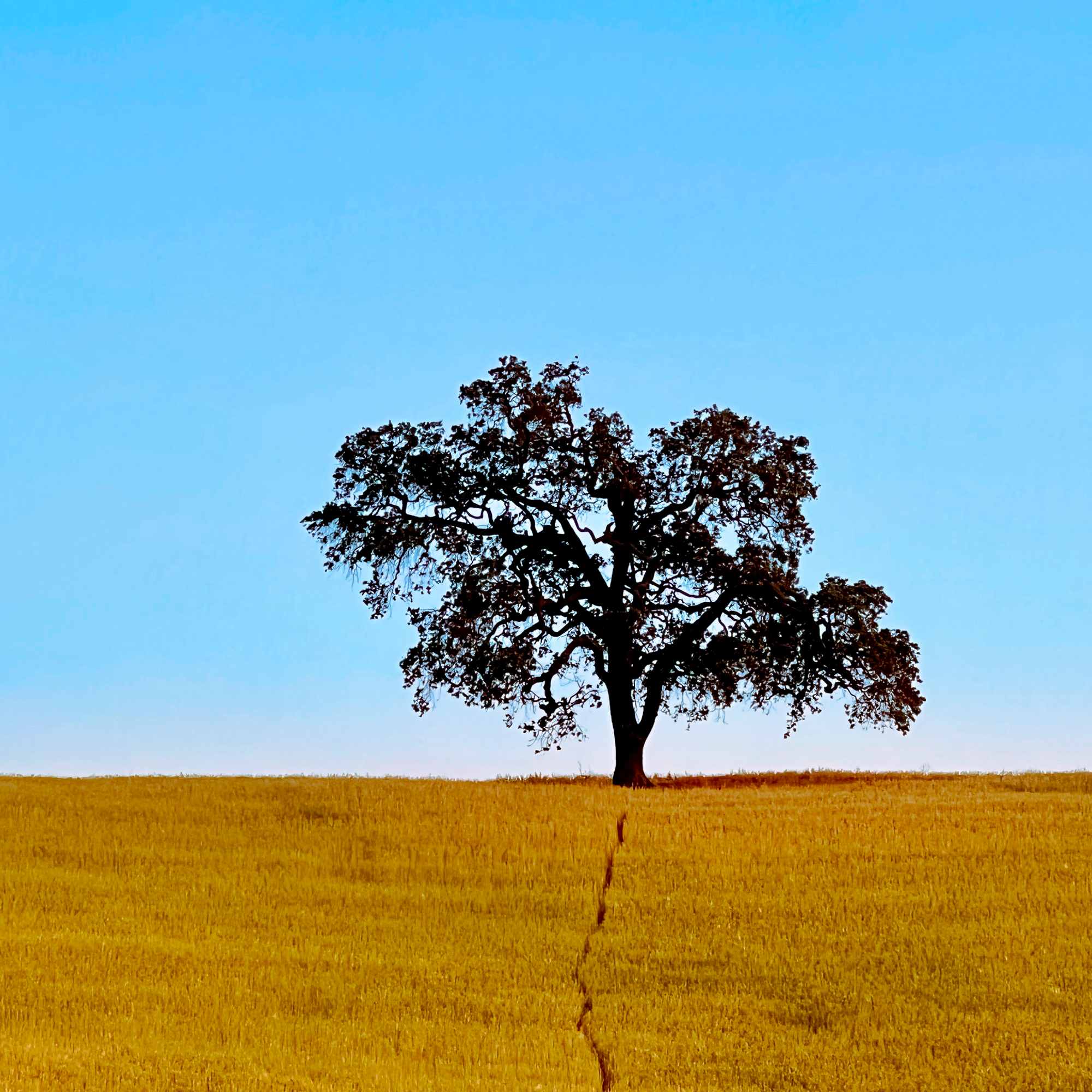 The Keeper of Secrets