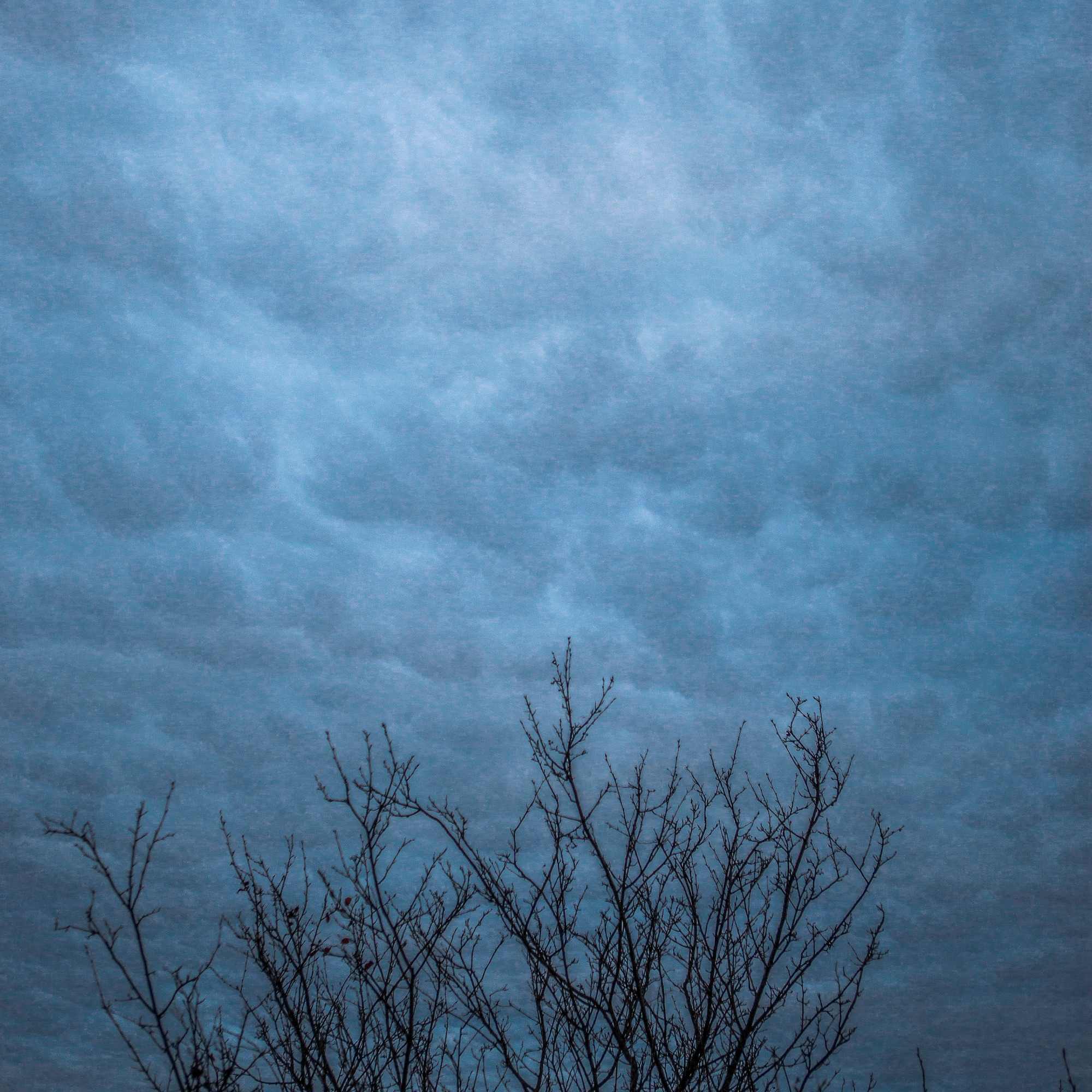 Of Thorns and Storms