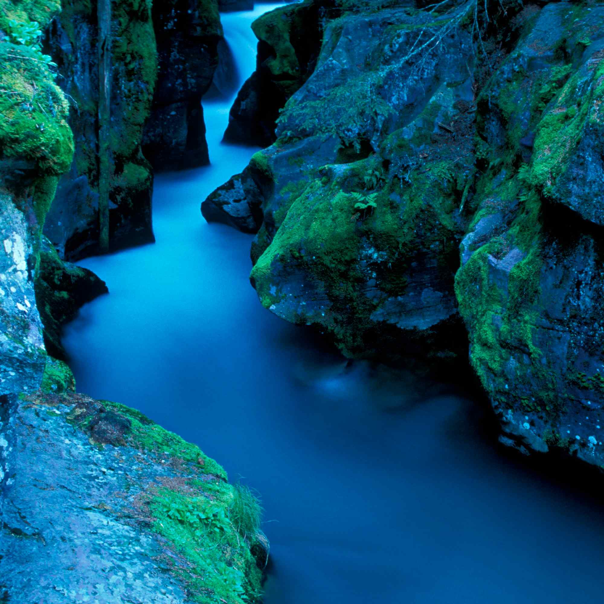 Avalanche Creek