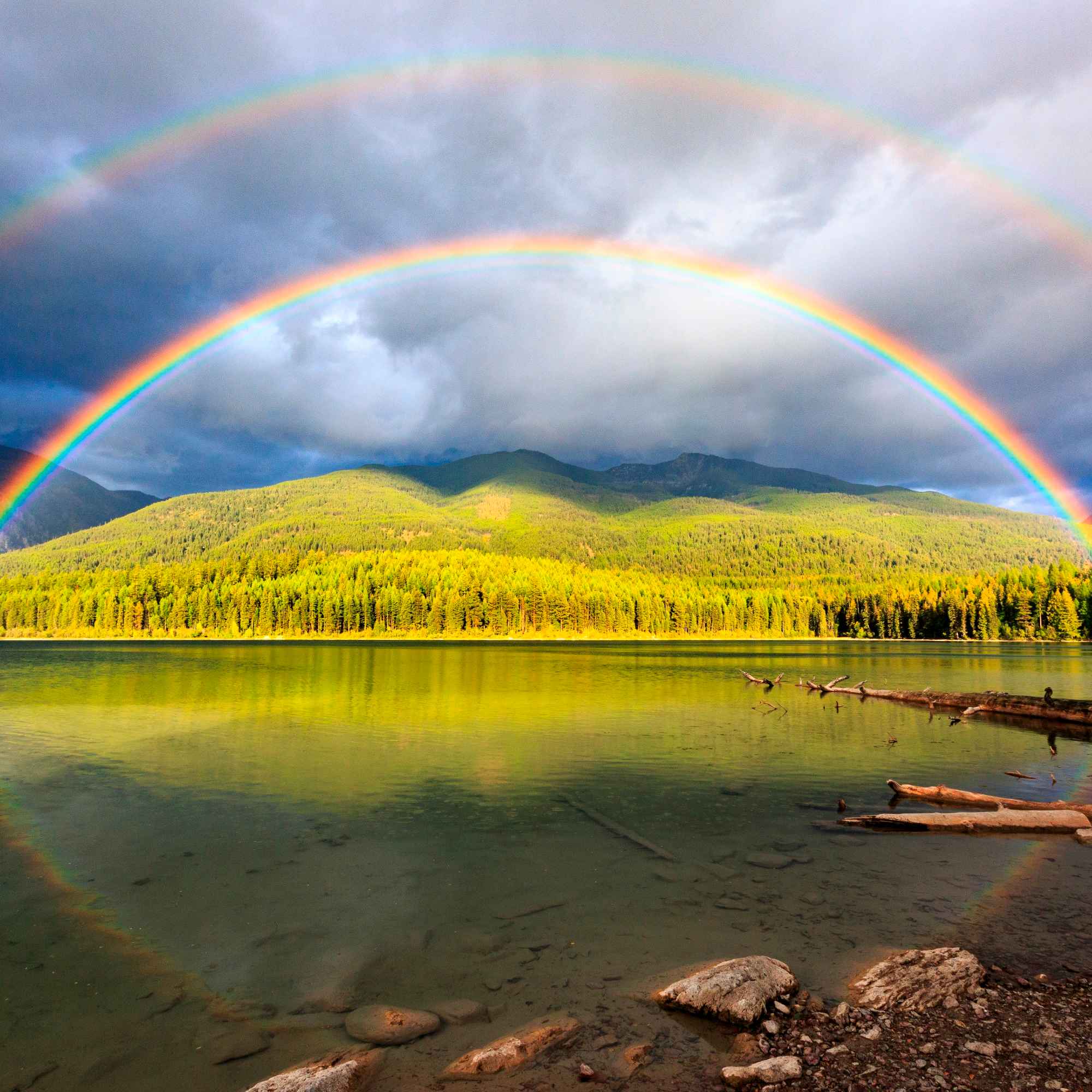 Double Rainbow Reflection