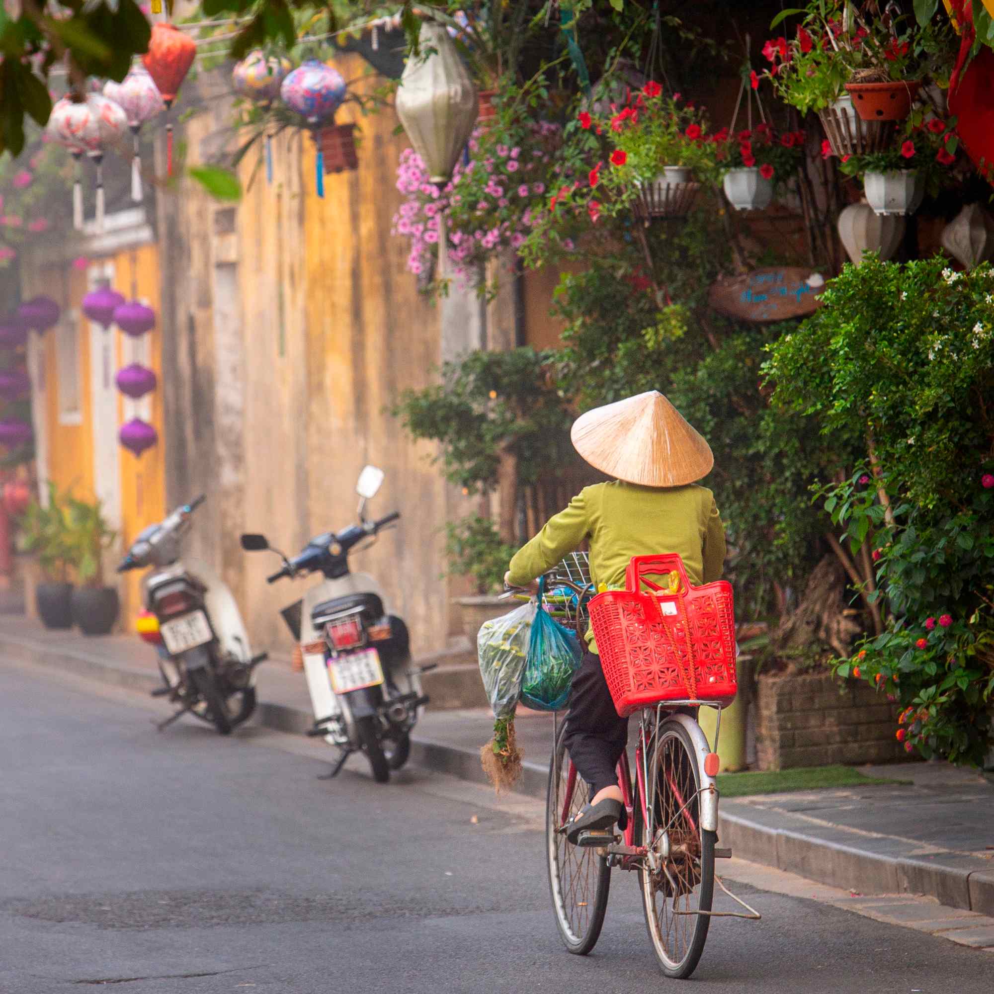 Colorful Ride Home