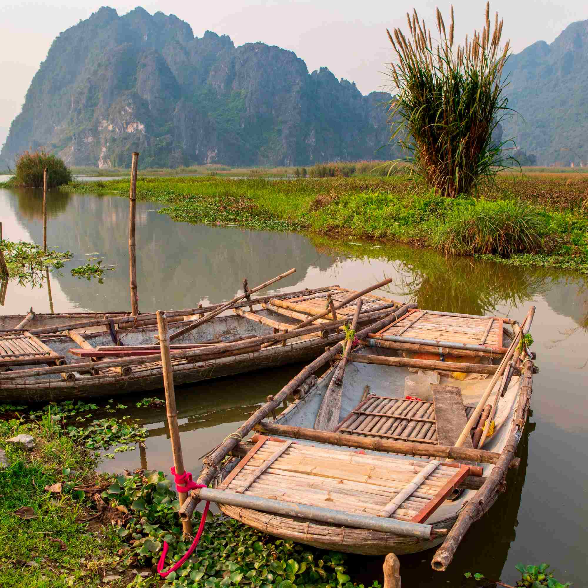 Bamboo Boats