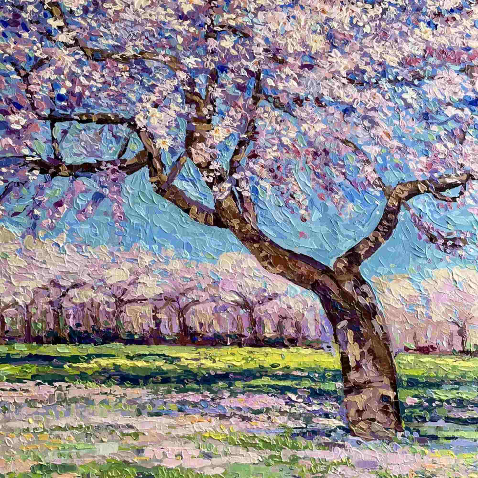 Almond Blossom Tree