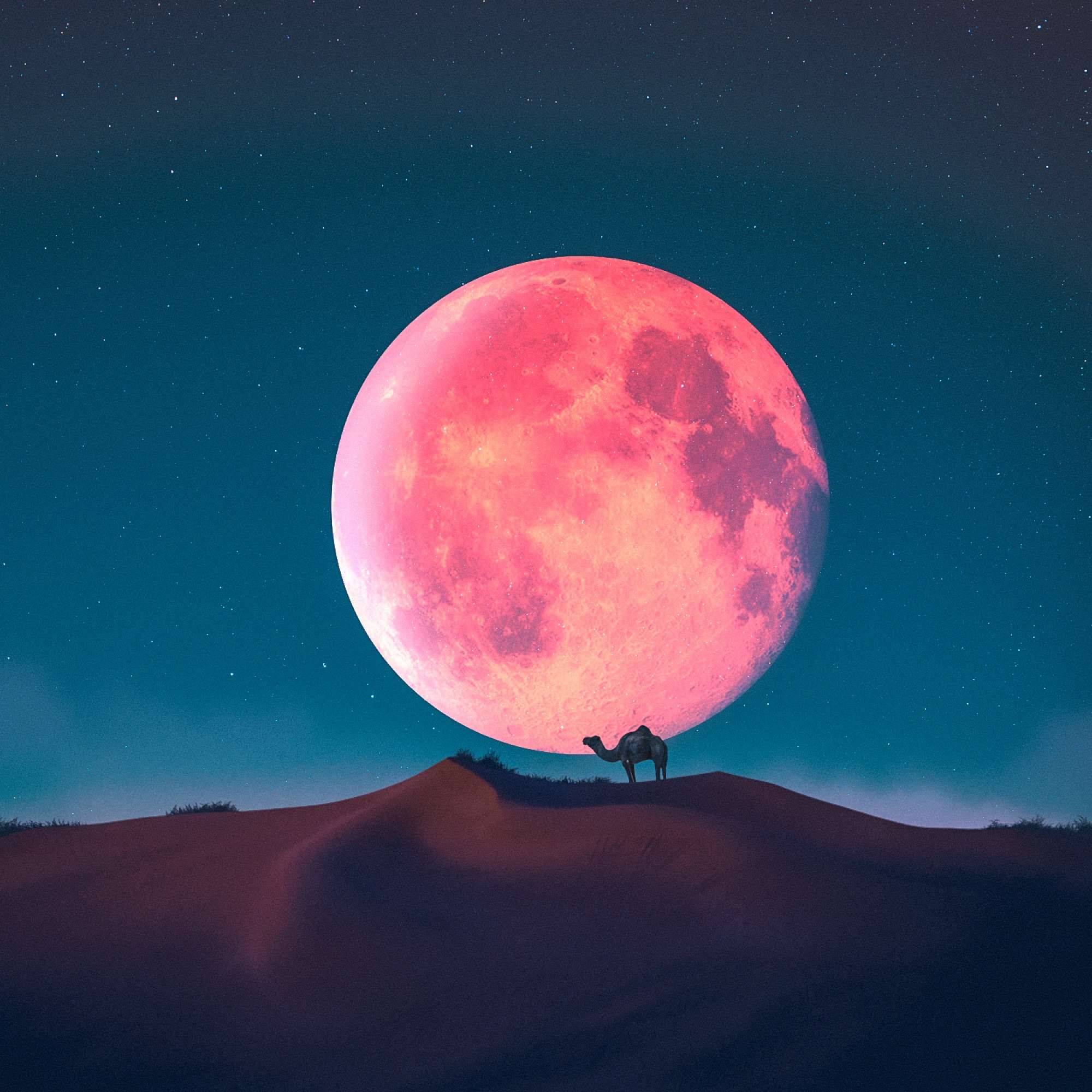 Red Moon