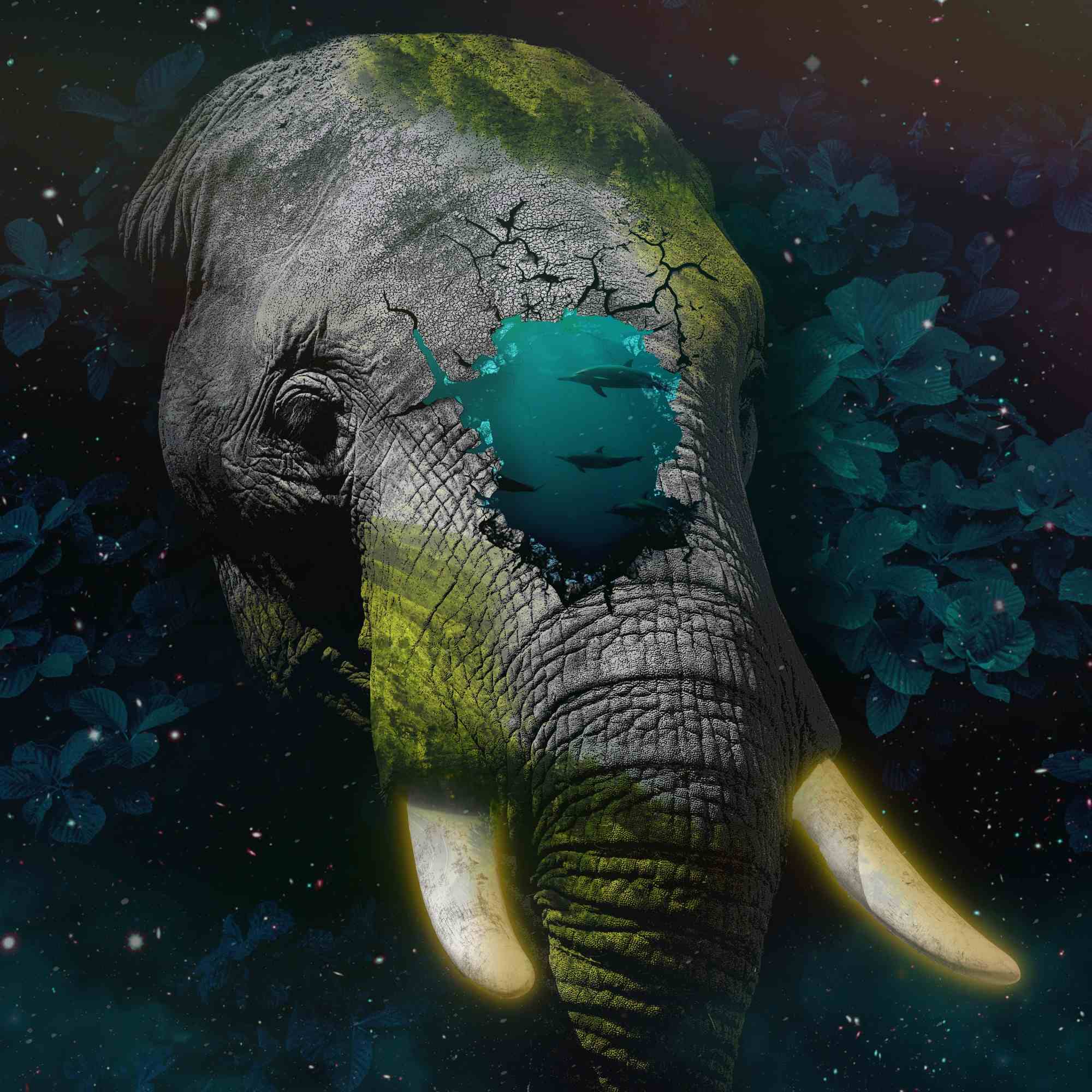 Tusked Serenity