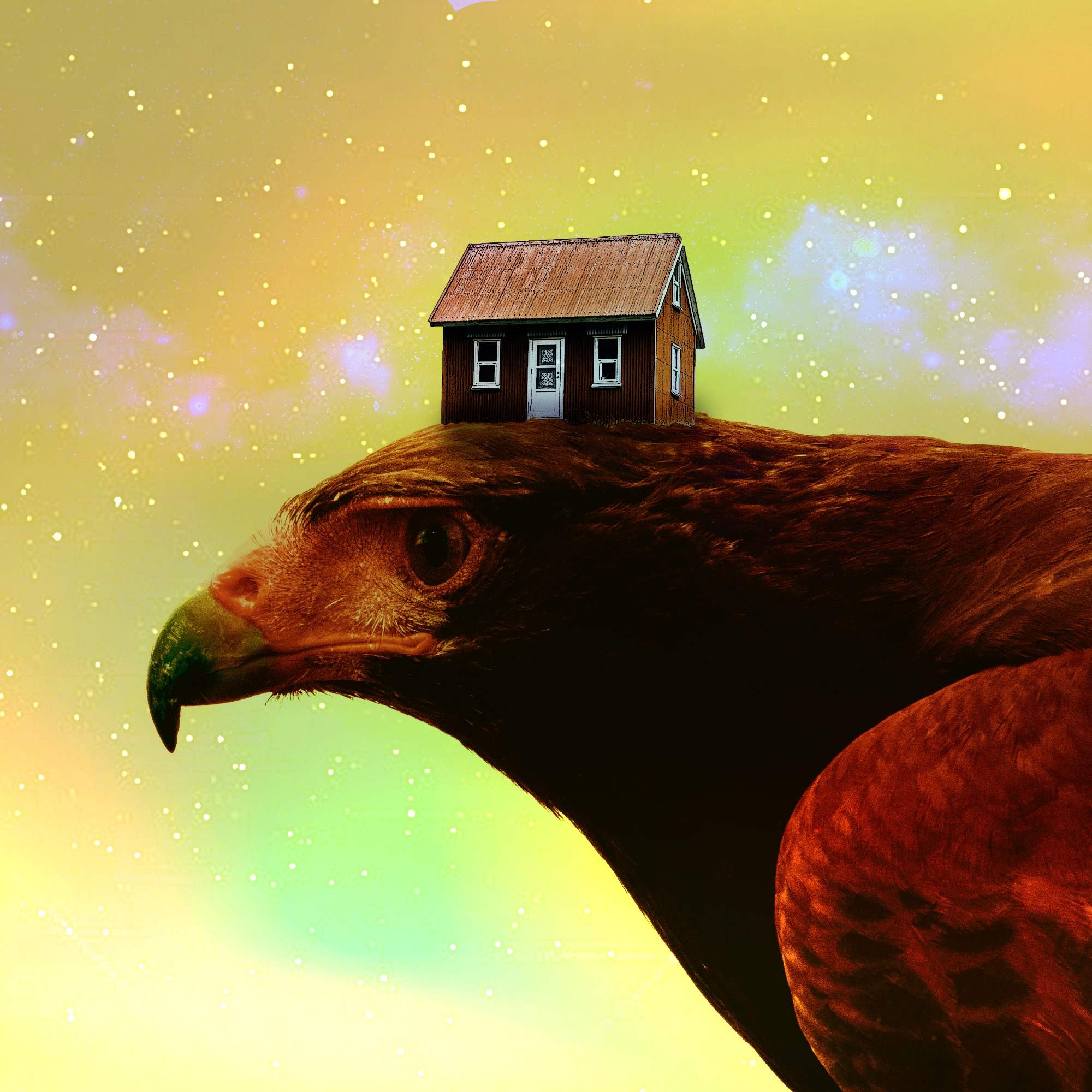 A Home on High