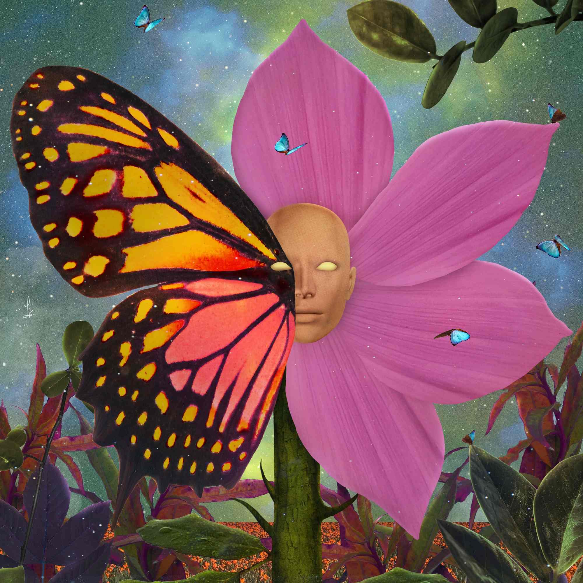 Zephyra