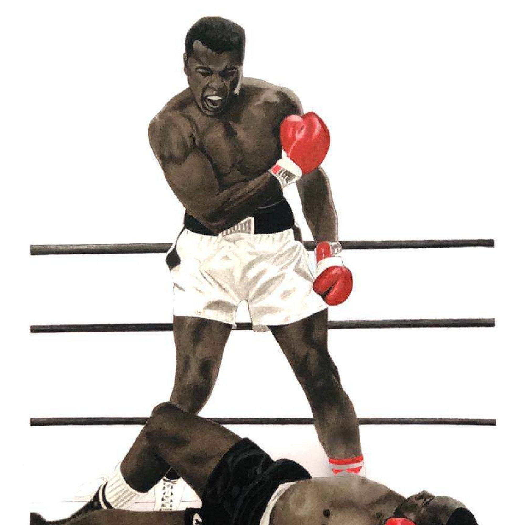 Muhammed Ali Knockout