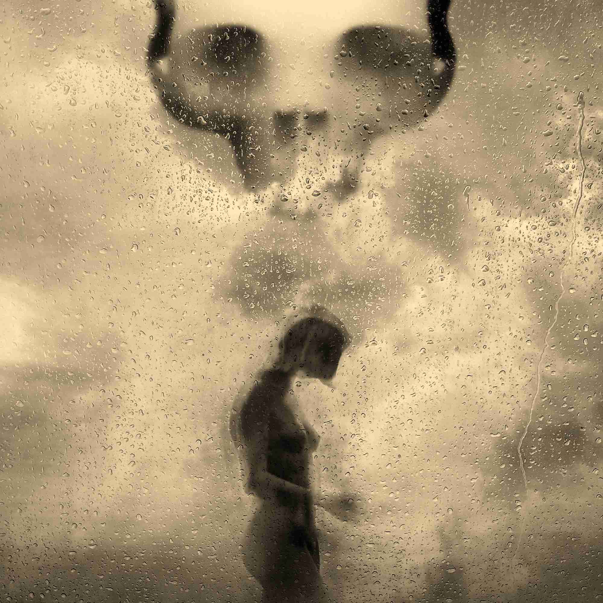 The Puppet