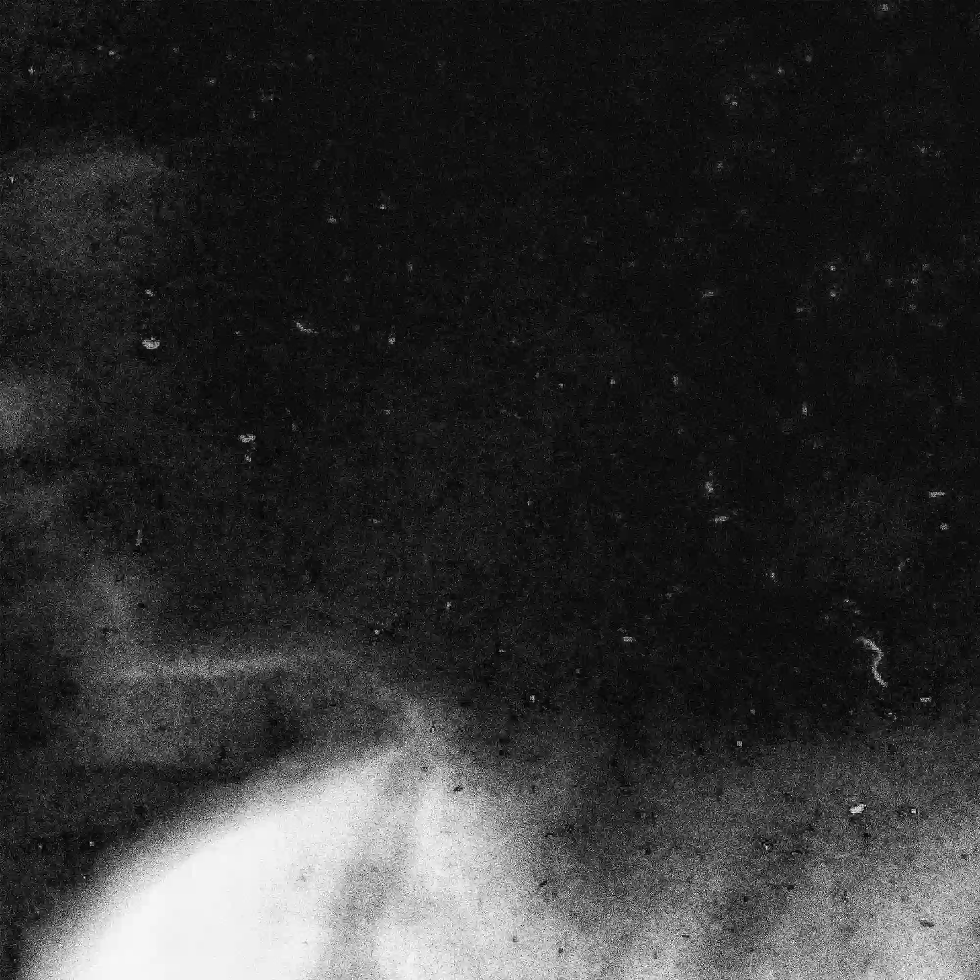 𝚗 𝚎 𝚟 𝚎 𝚛 𝙳𝚒𝚎