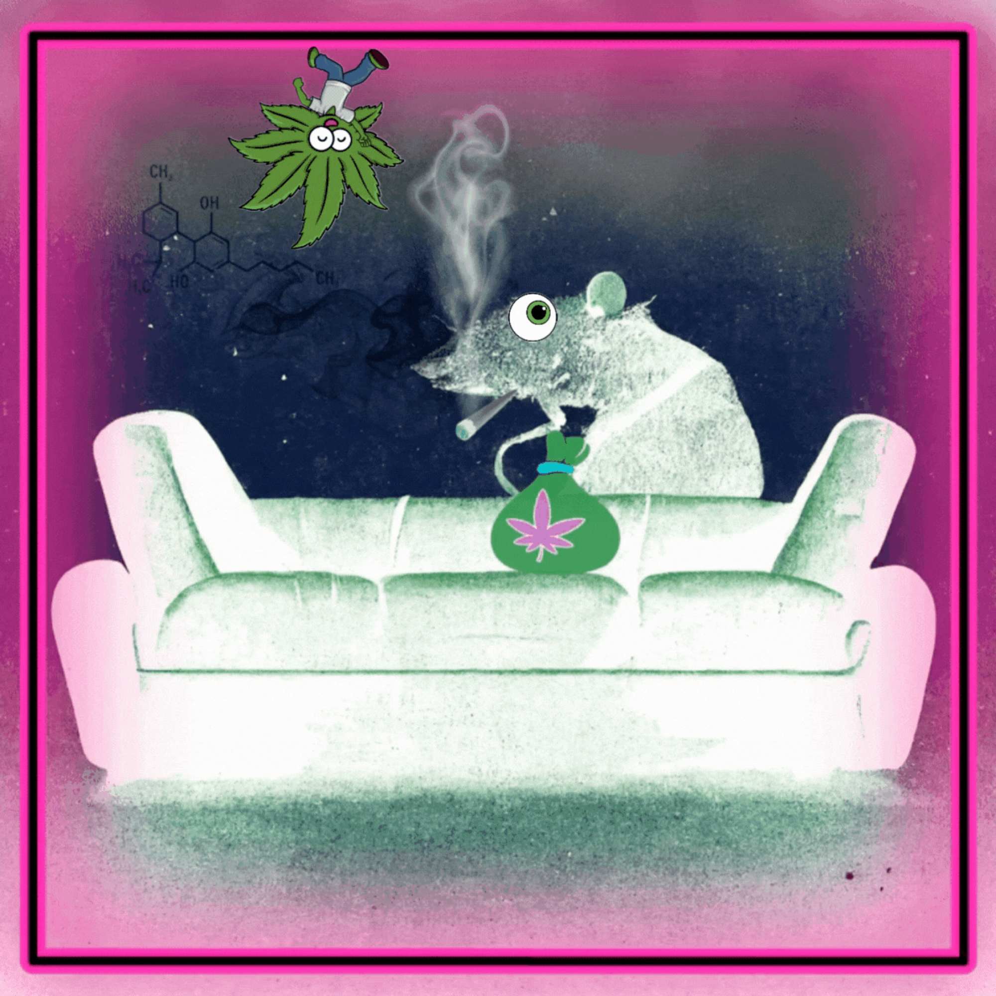 Weed Thief Rat