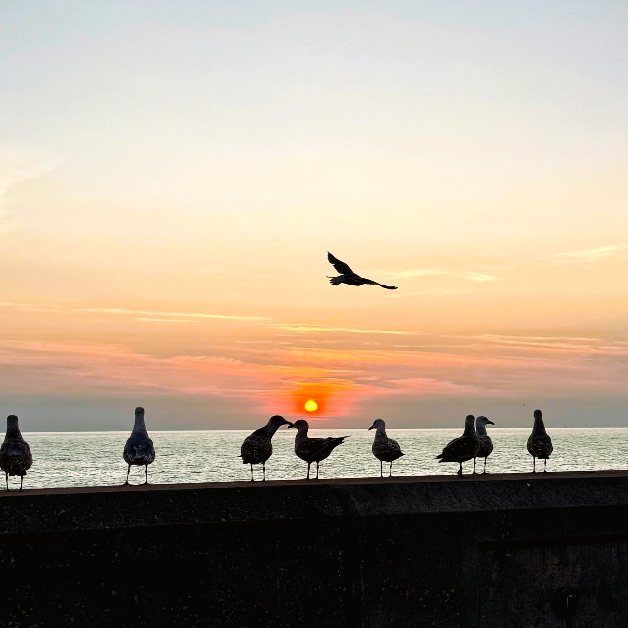 Sunset Gathering 