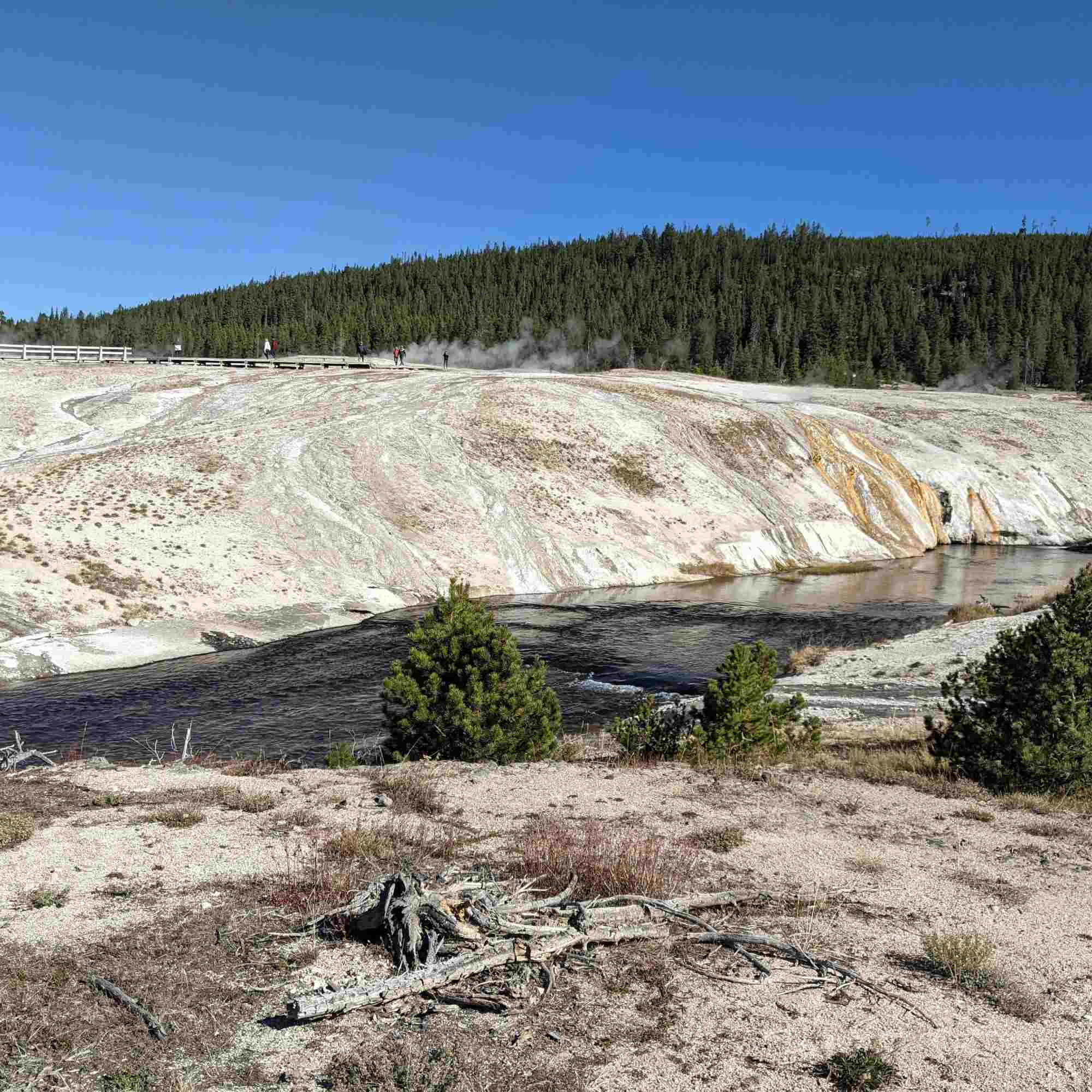 Yellowstone Creek 2