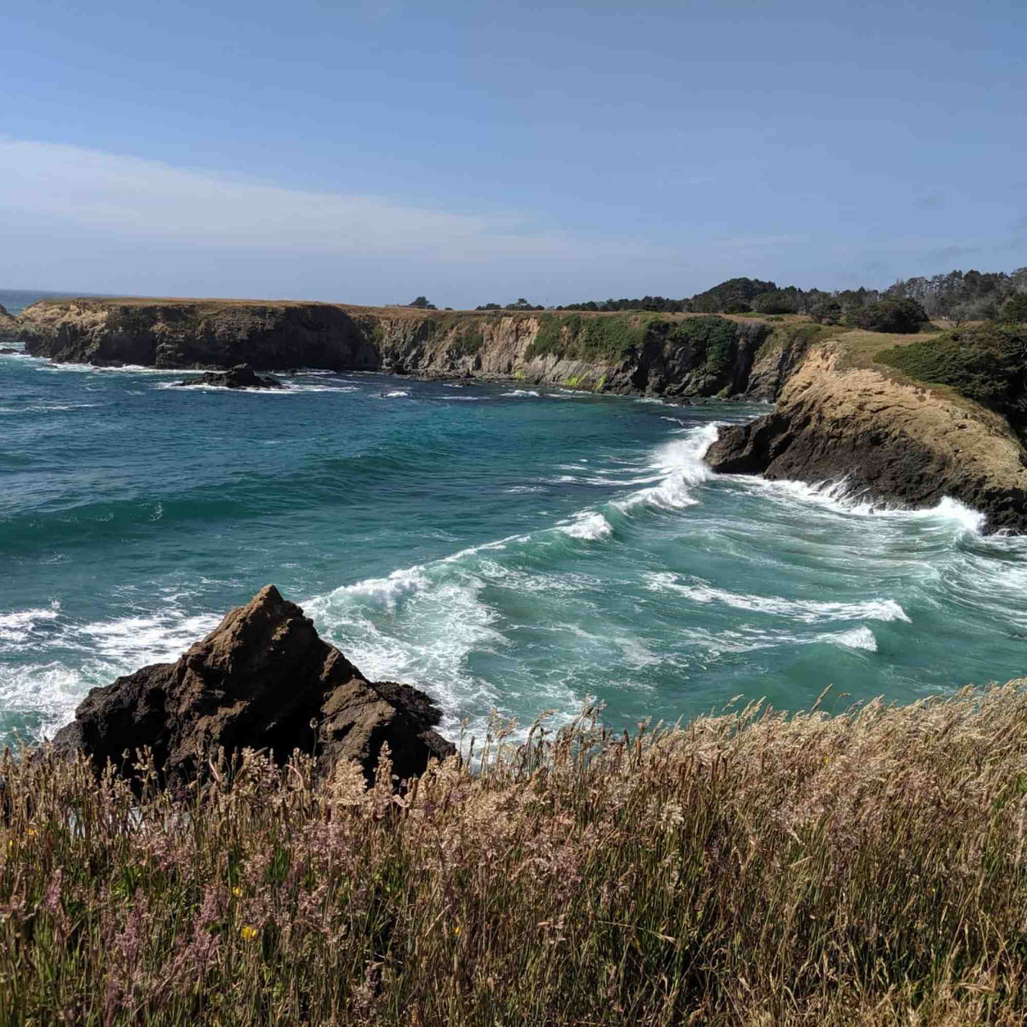 Mendocino Coast 4