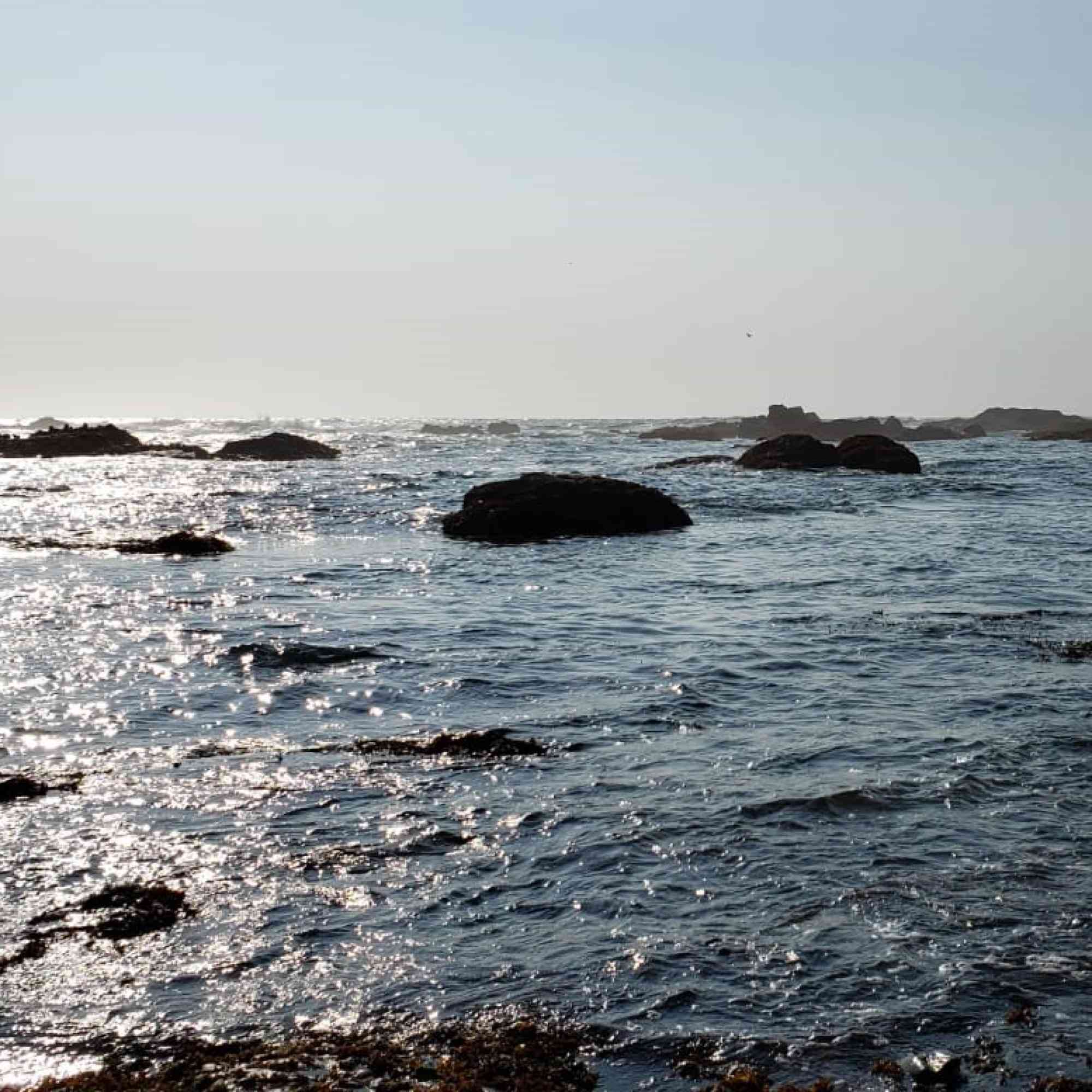 Rocky Waters 4 - Mendocino