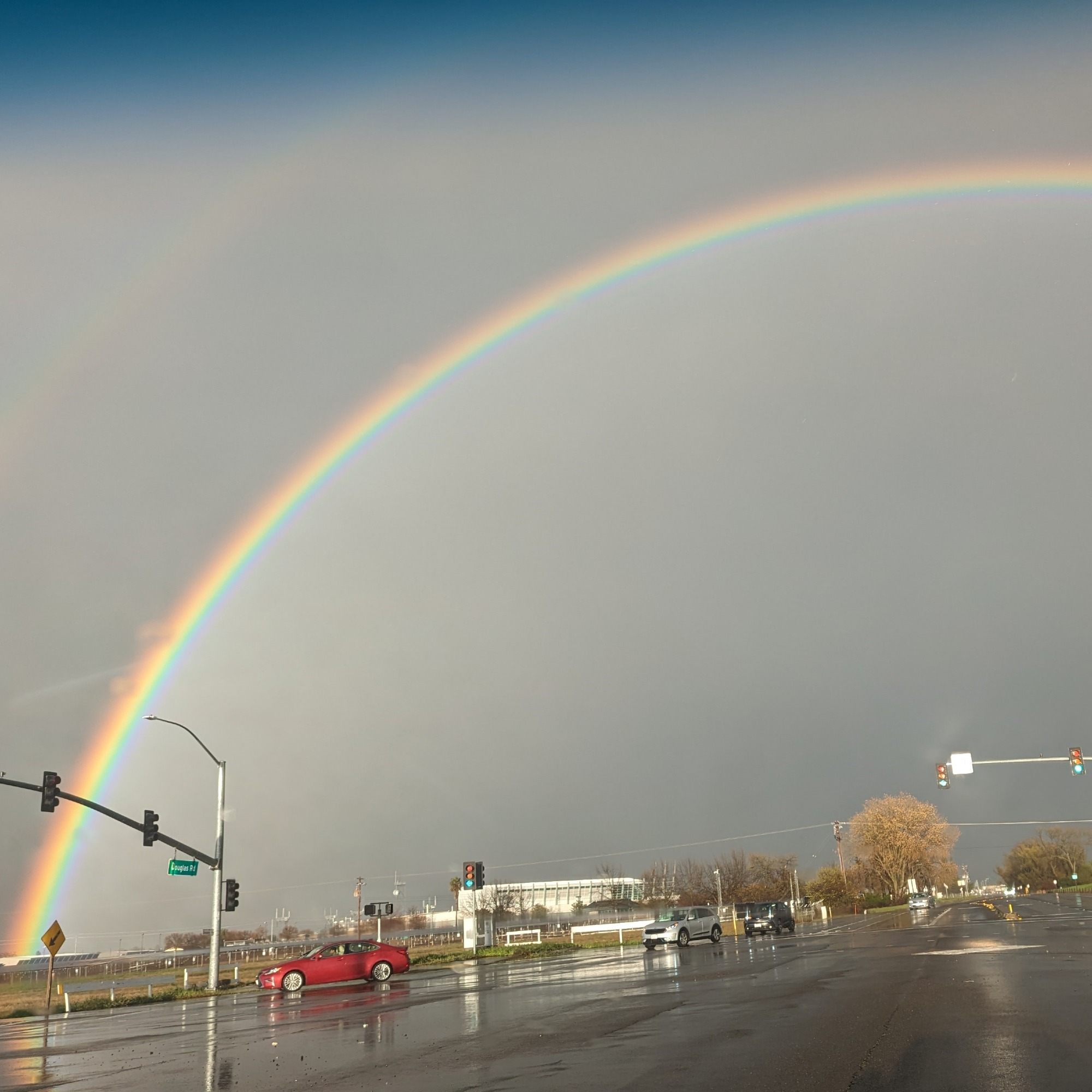 Rainbow Revelry 2