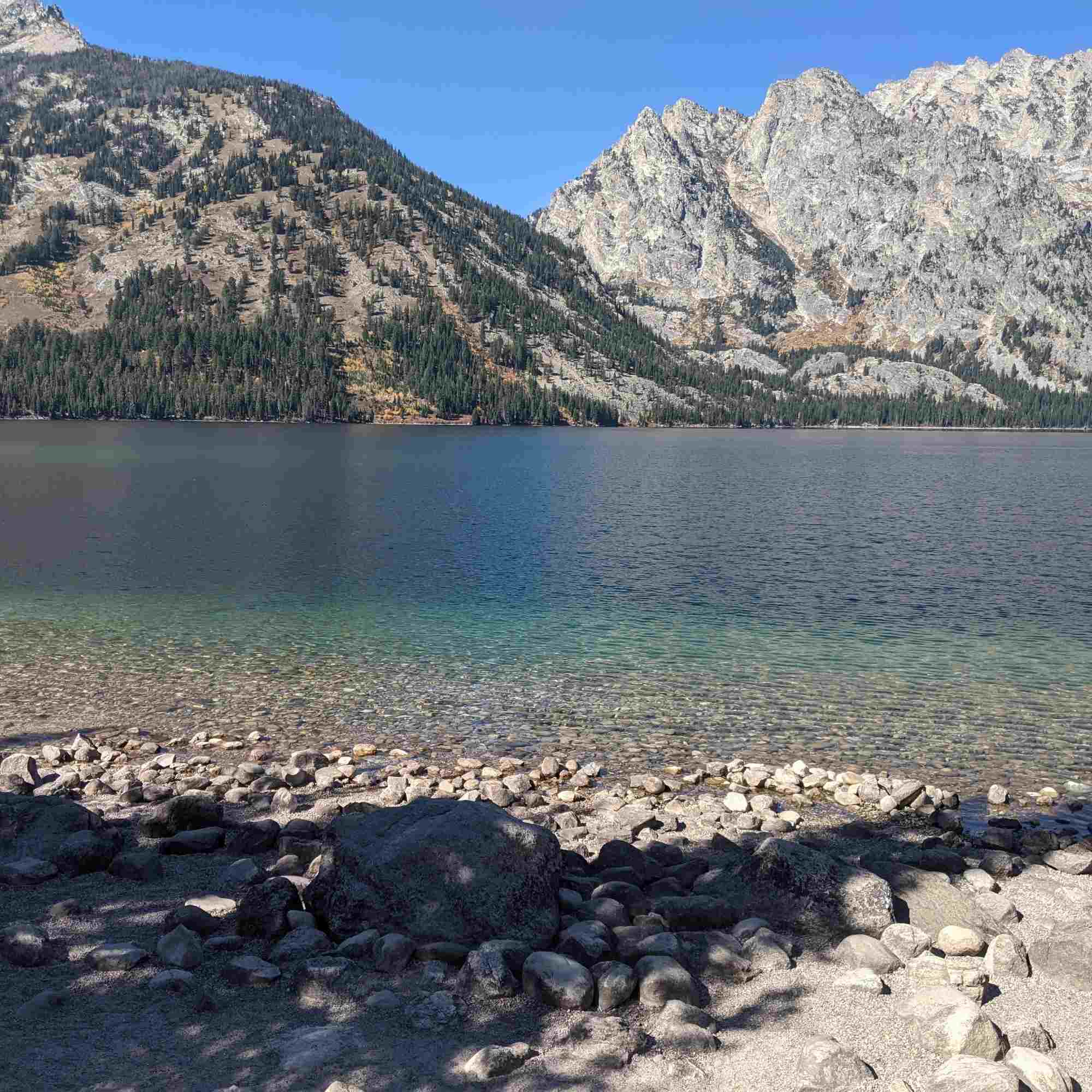 Wyoming Wonder