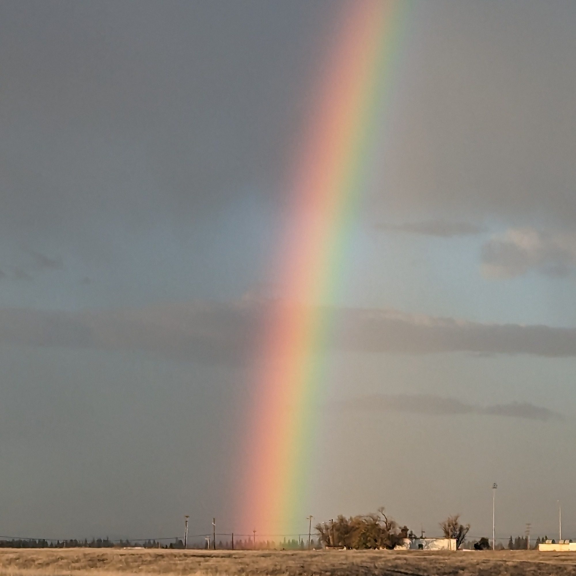 Rainbow Revelry