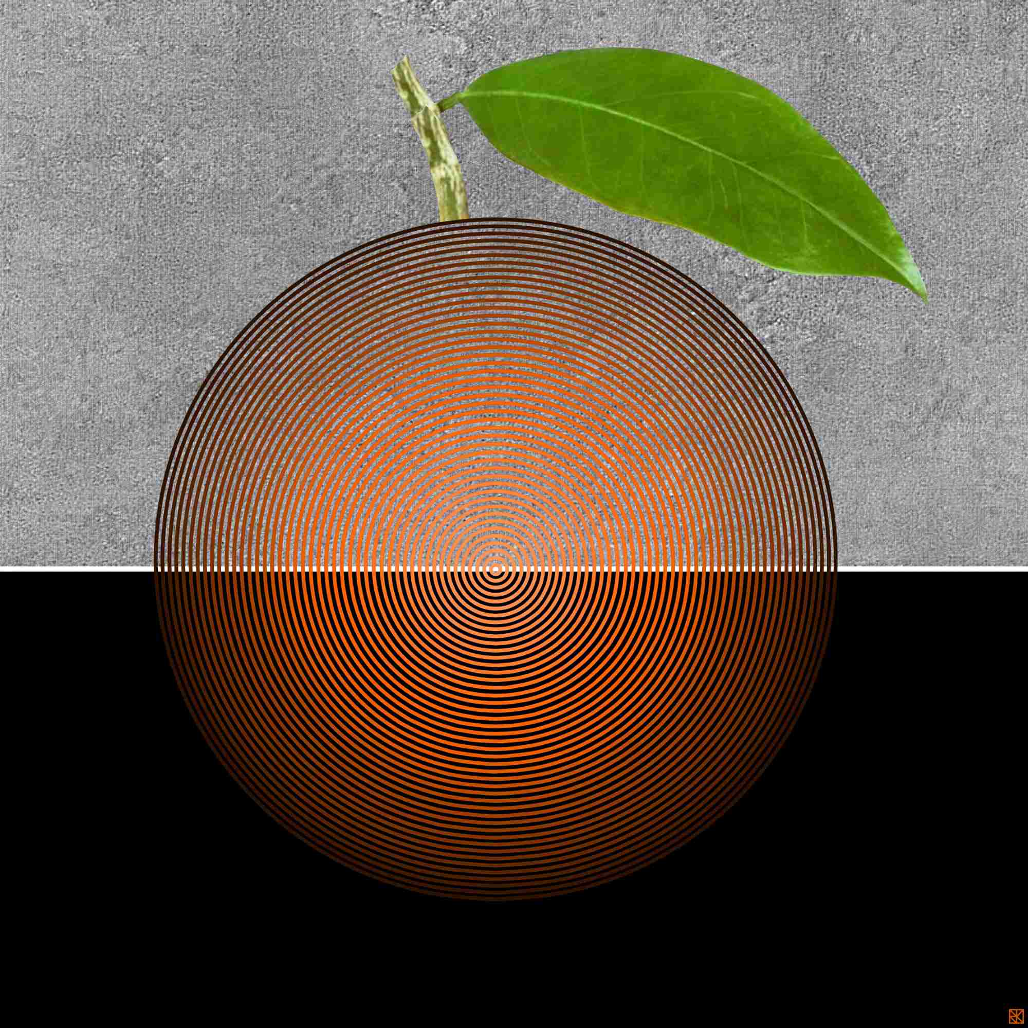 Spirit of an Orange